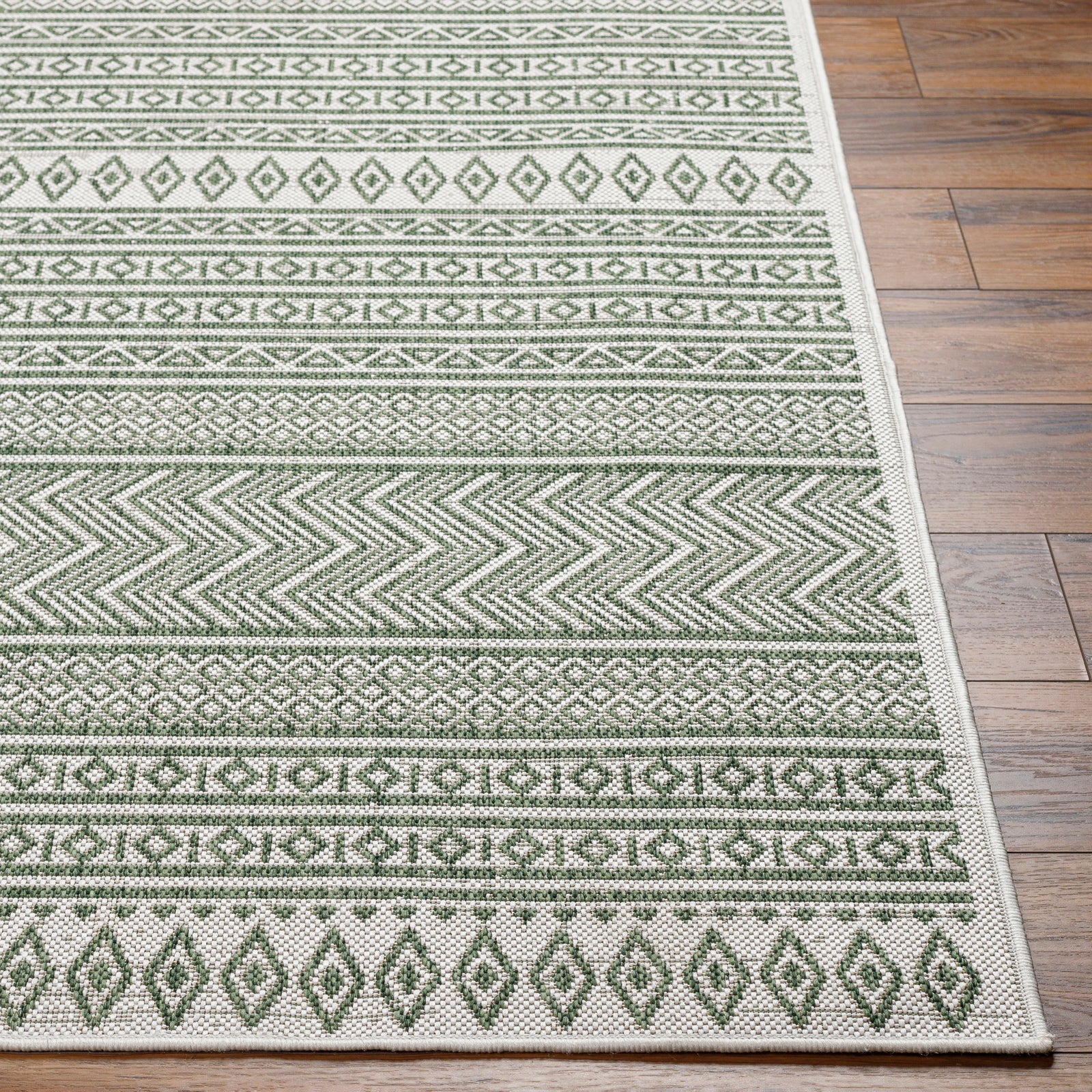 ANKITA In- /Outdoor Rug