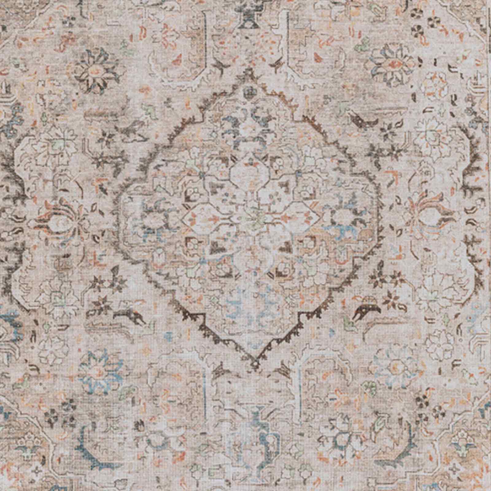 CLARA Machine Washable Vintage Area Rug