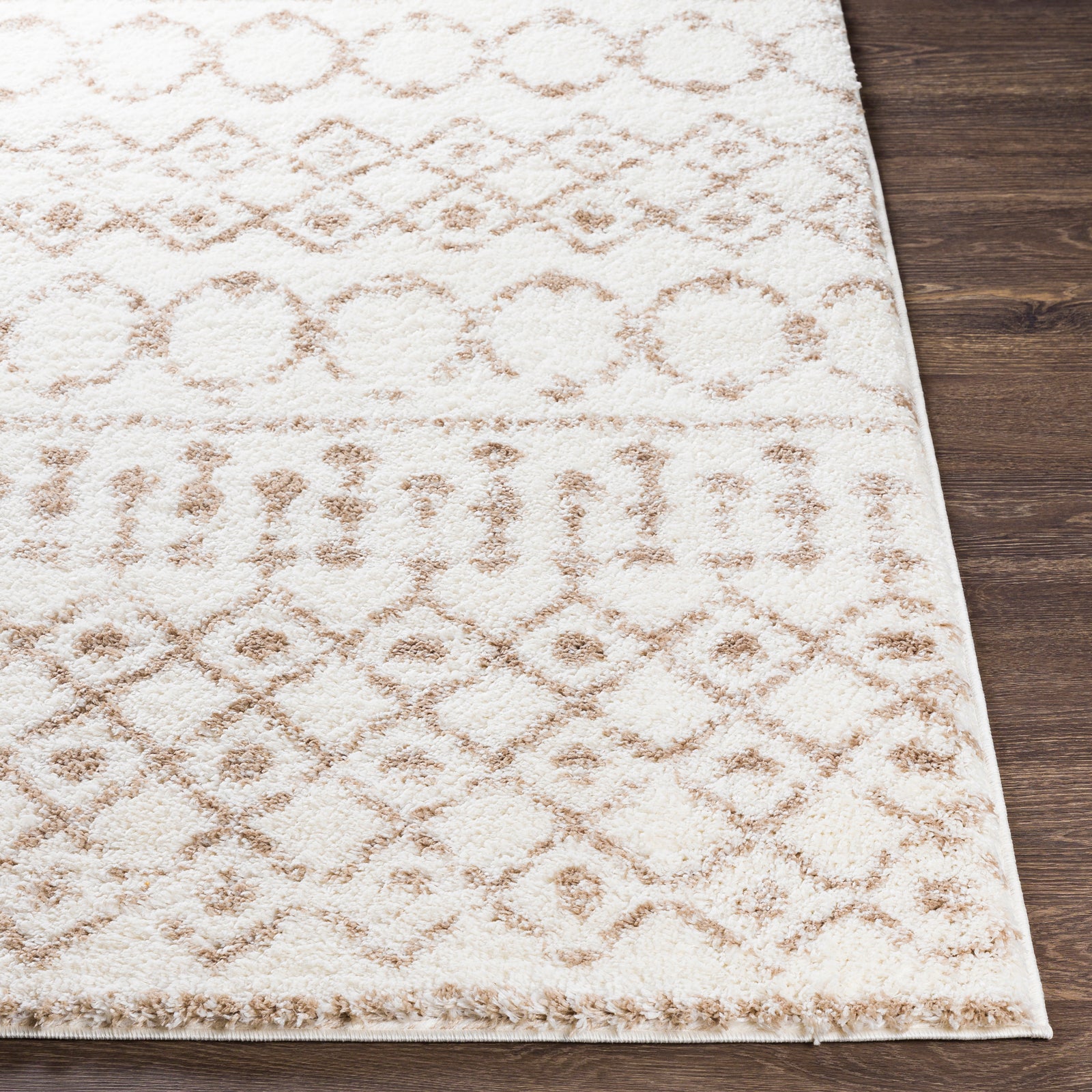 SAANJH Boho Shaggy Area Rug