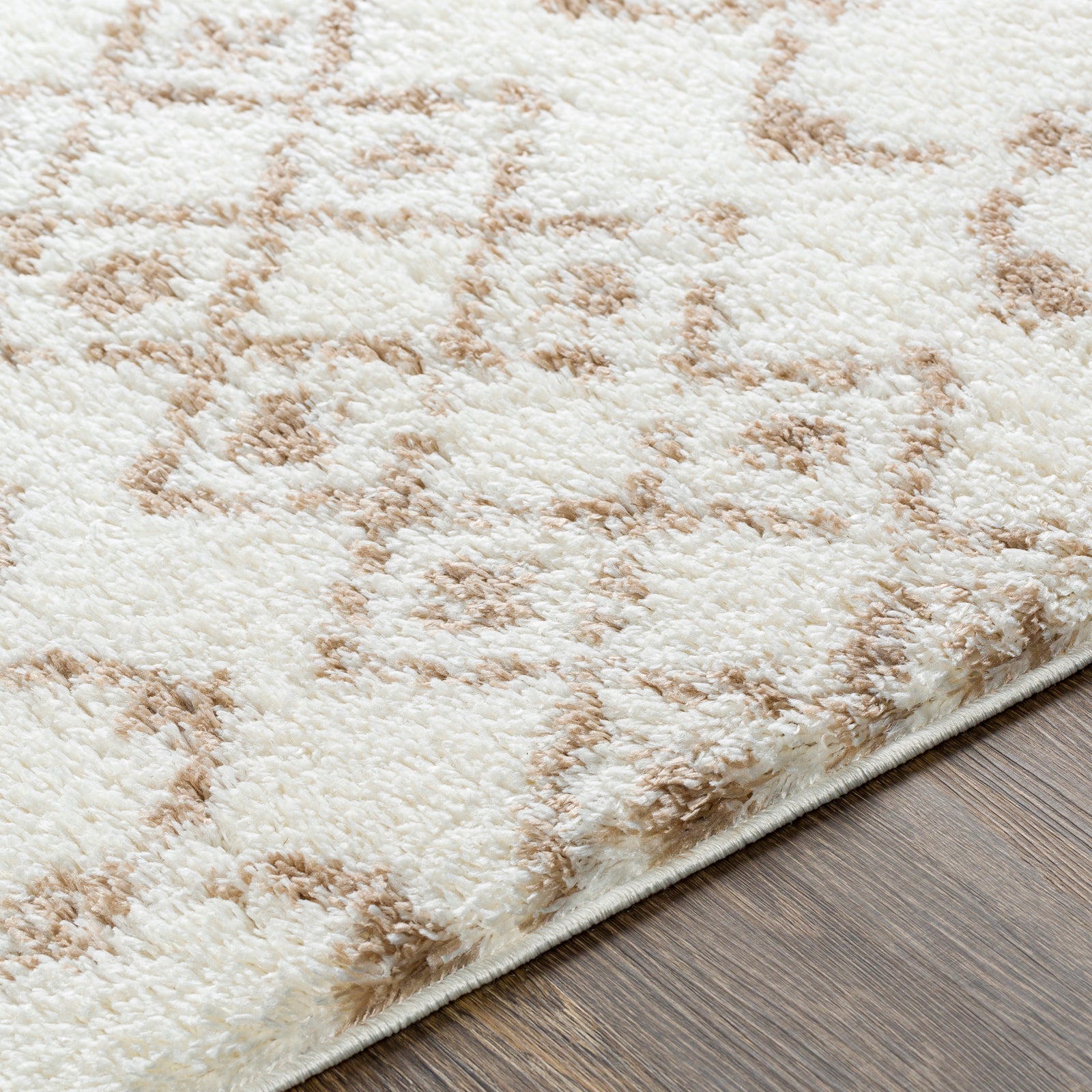 SAANJH Boho Shaggy Area Rug