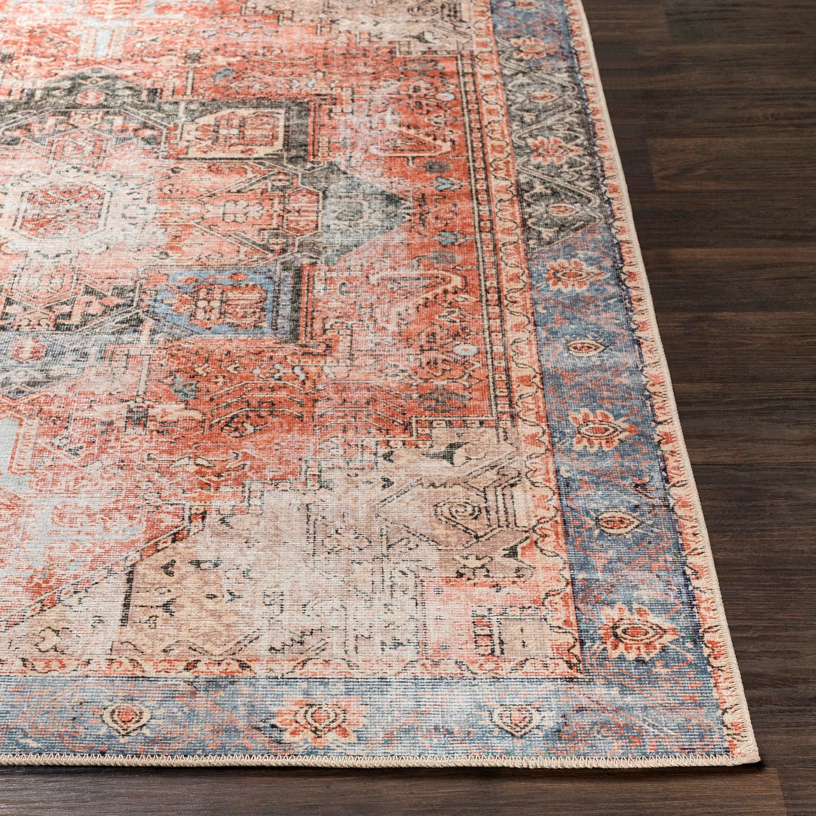LANA Machine Washable Vintage Area Rug