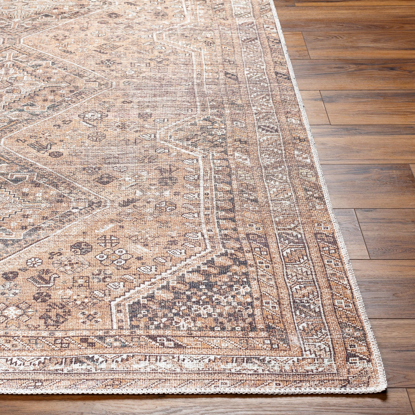 CALYPSO Machine Washable Vintage Area Rug