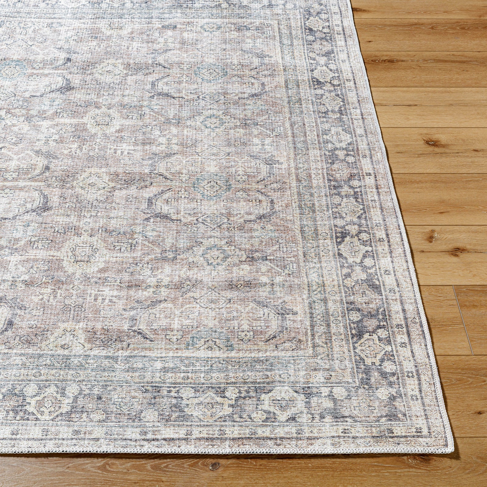 SHALINI Machine Washable Vintage Area Rug
