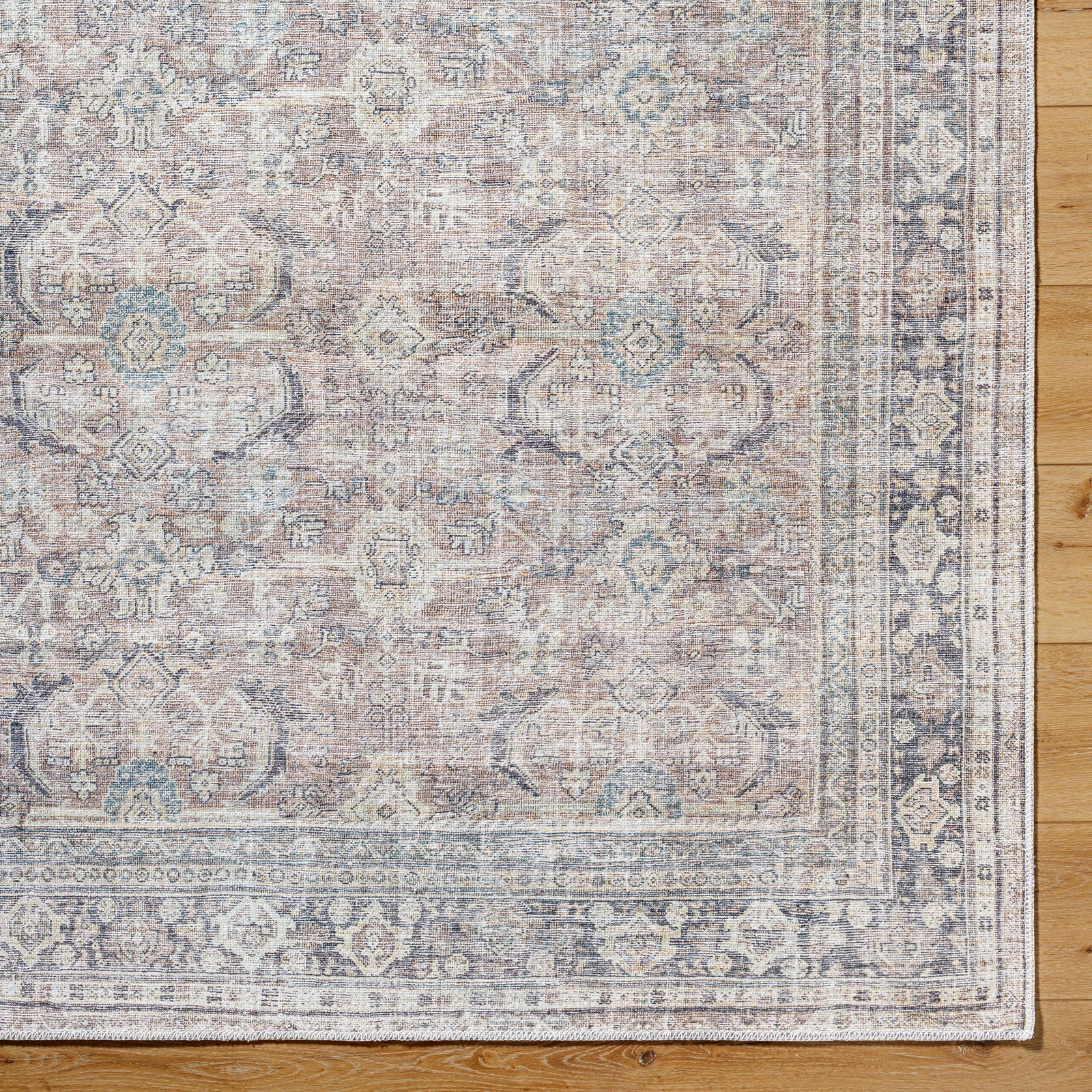 SHALINI Machine Washable Vintage Area Rug