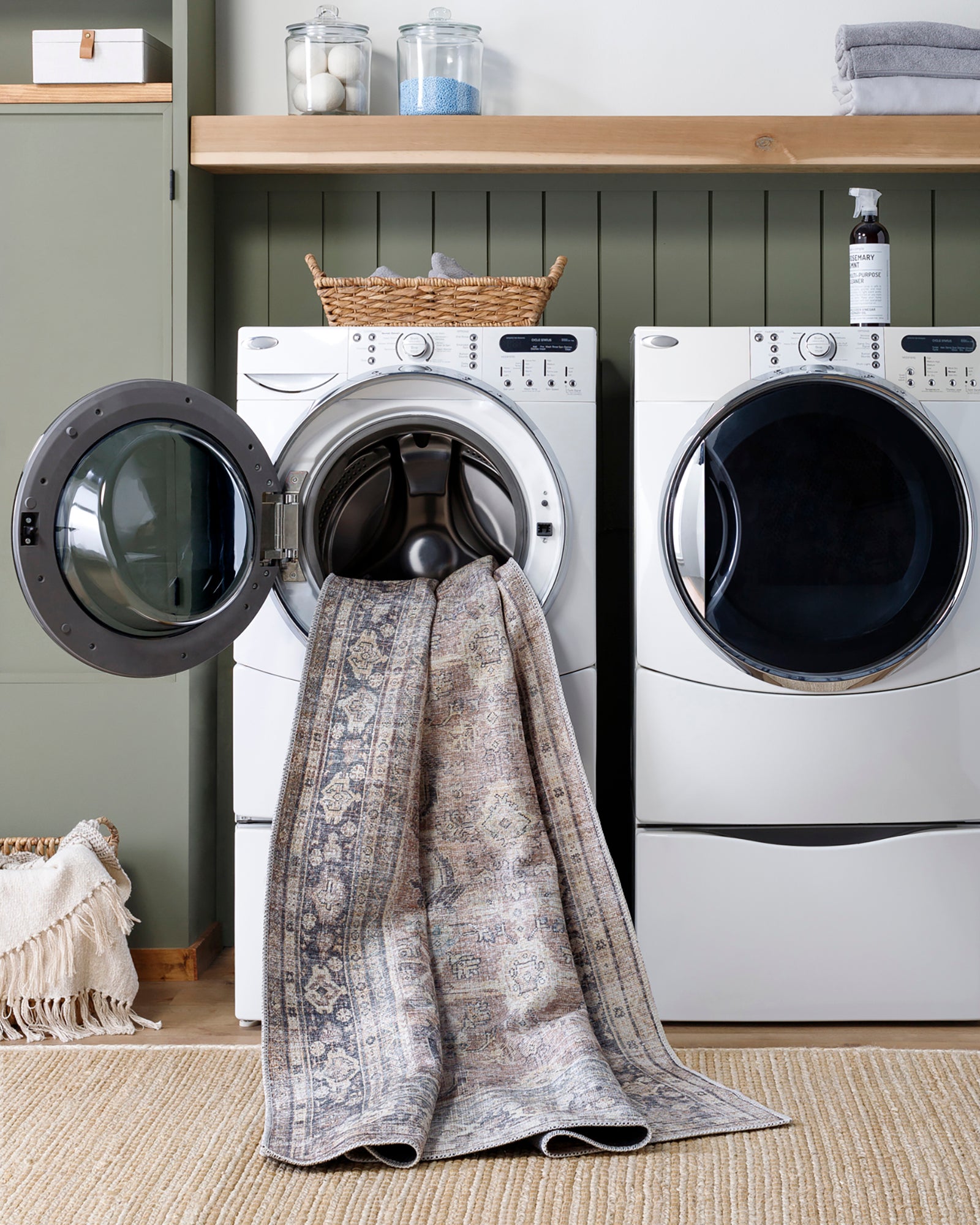 SHALINI Machine Washable Vintage Area Rug
