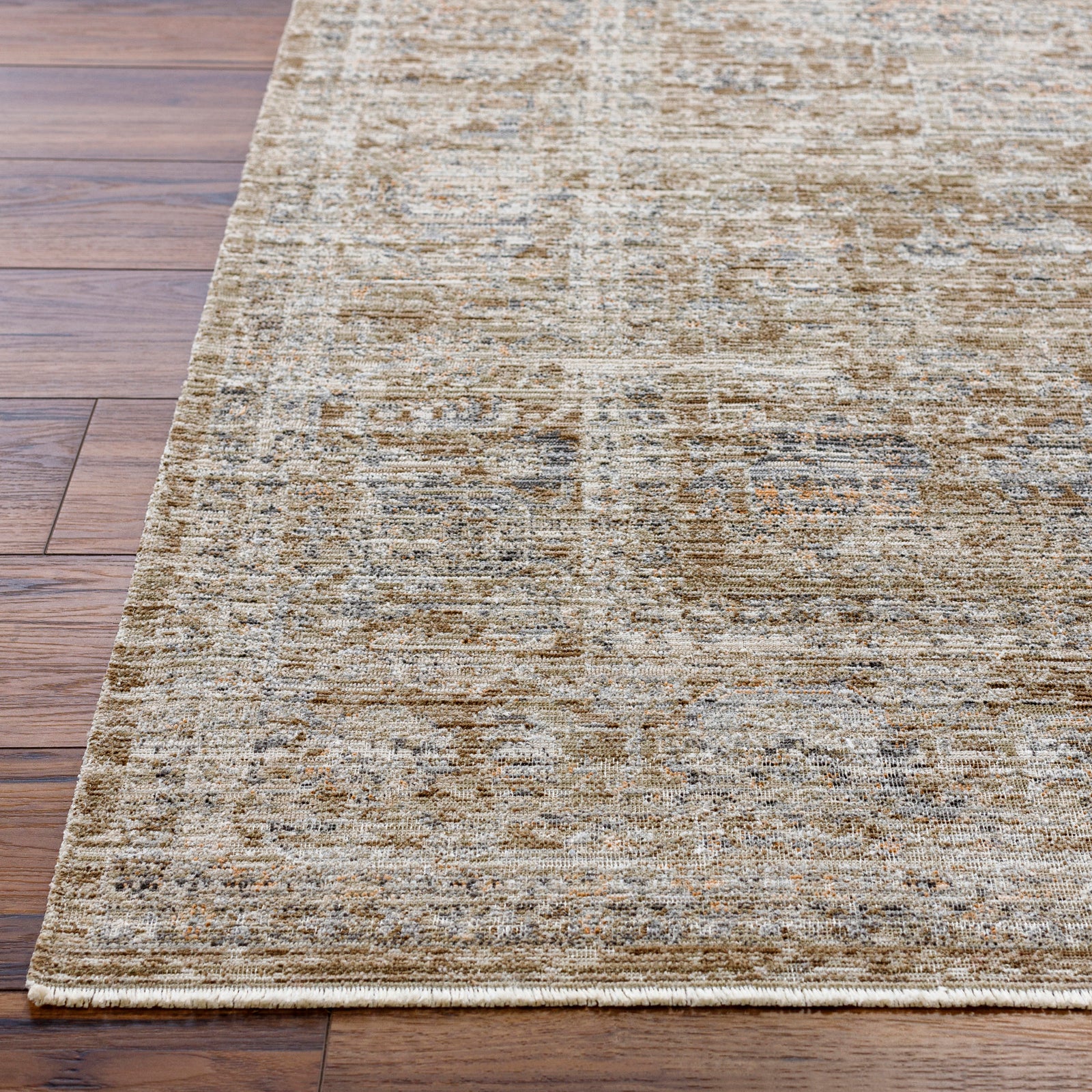 PANKTI Machine Washable Vintage Area Rug