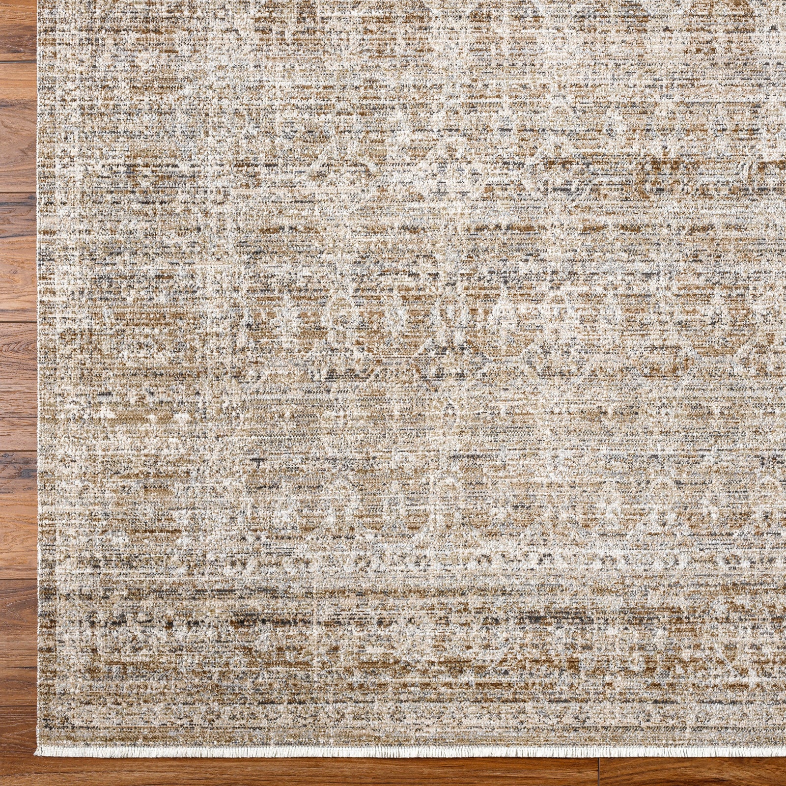 SANJANA Machine Washable Vintage Area Rug
