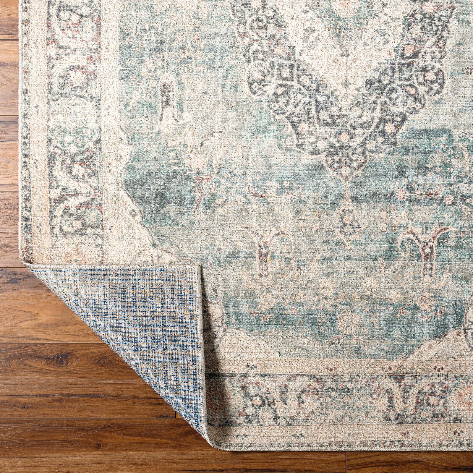 PAYAL Oriental Vintage Area Rug