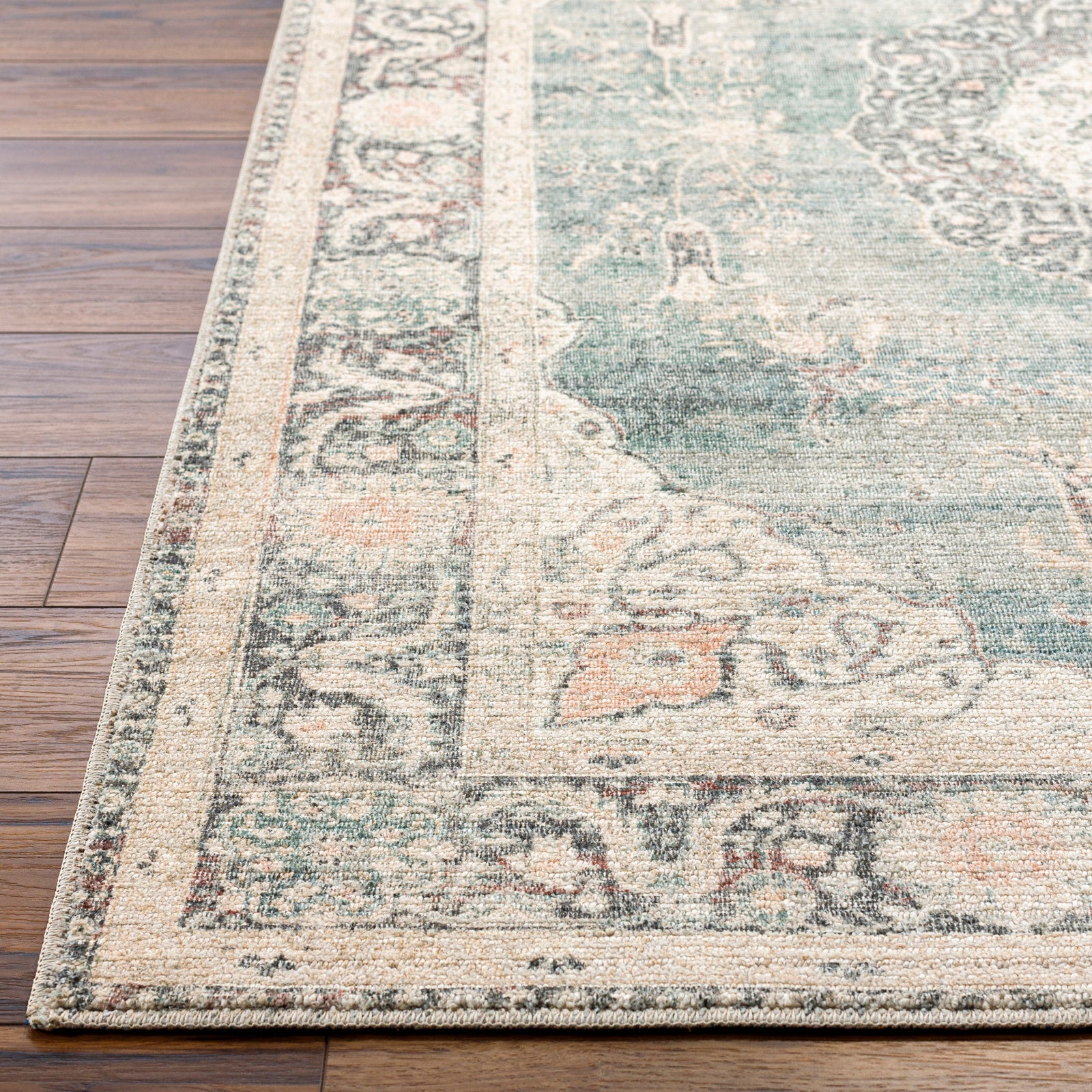 PAYAL Oriental Vintage Area Rug