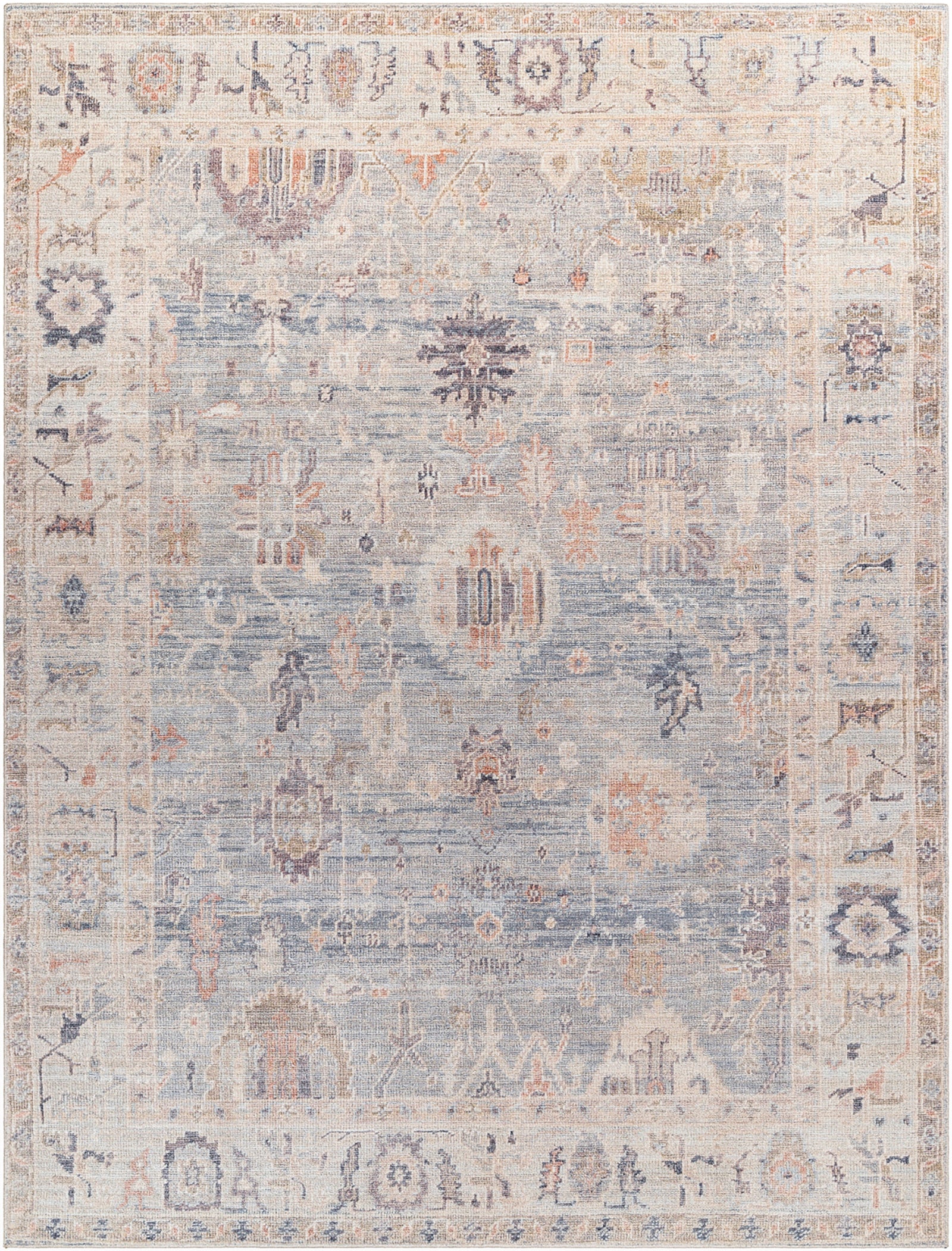 AANSHI Oriental Vintage Area Rug
