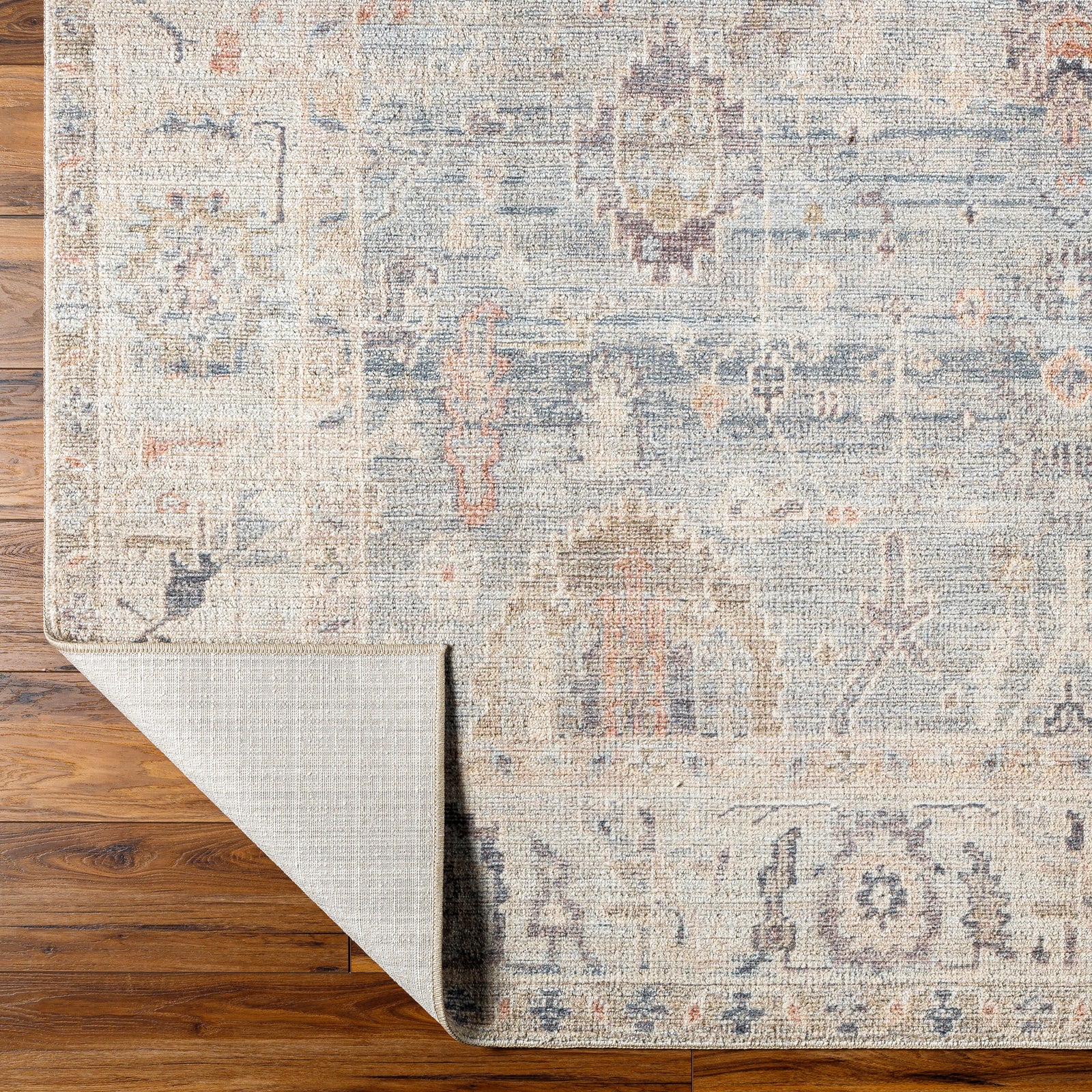 AANSHI Oriental Vintage Area Rug