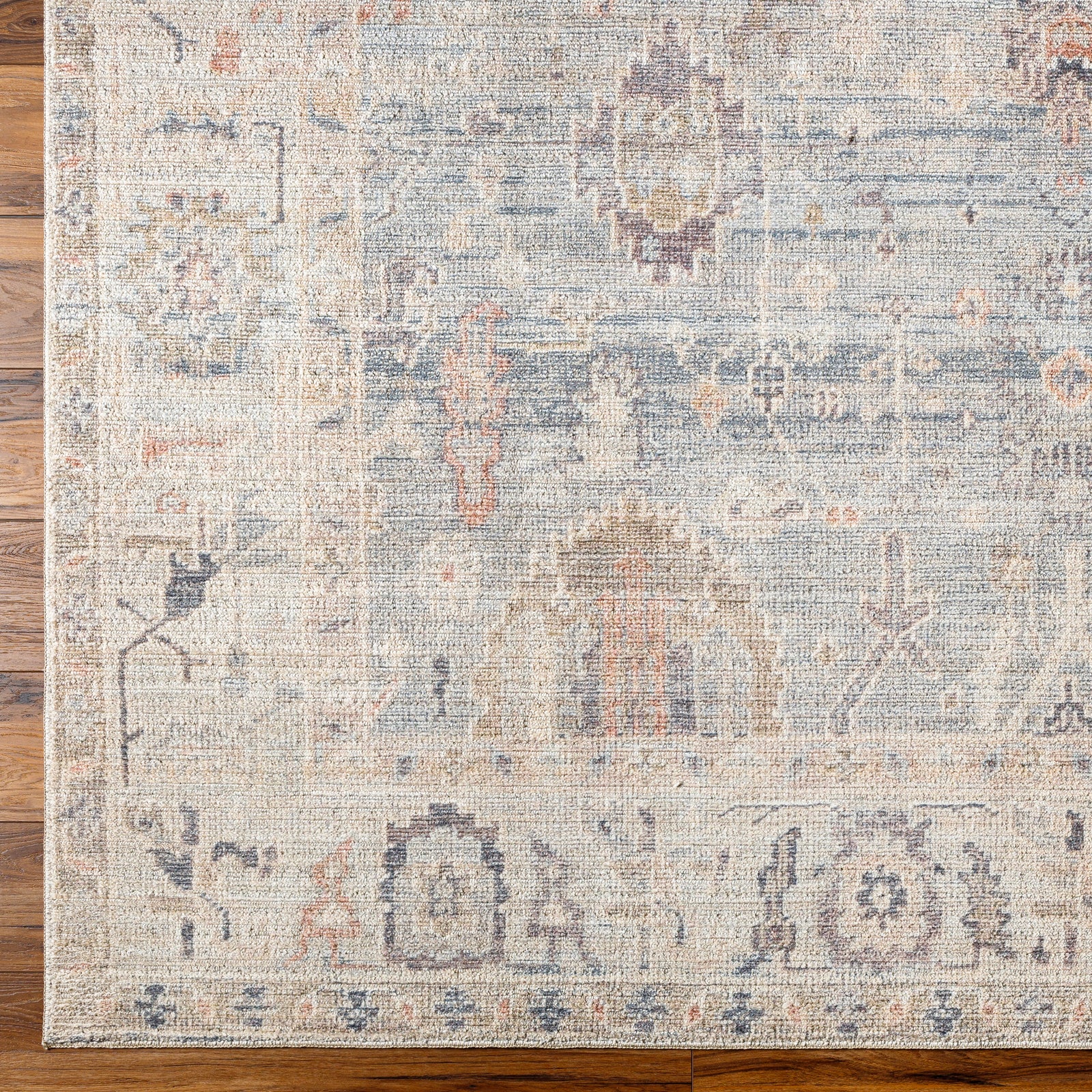 AANSHI Oriental Vintage Area Rug