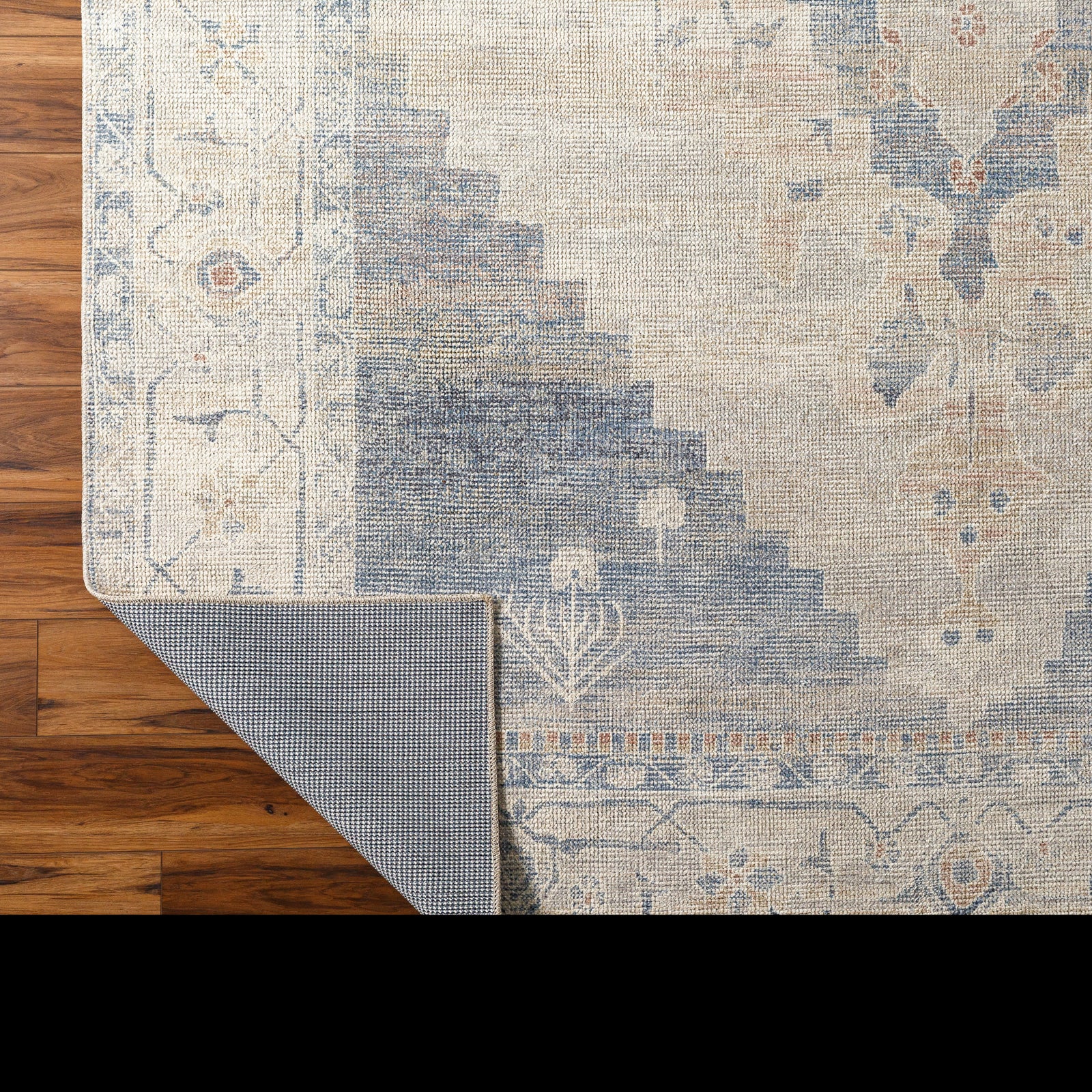 ANIKA Oriental Vintage Area Rug