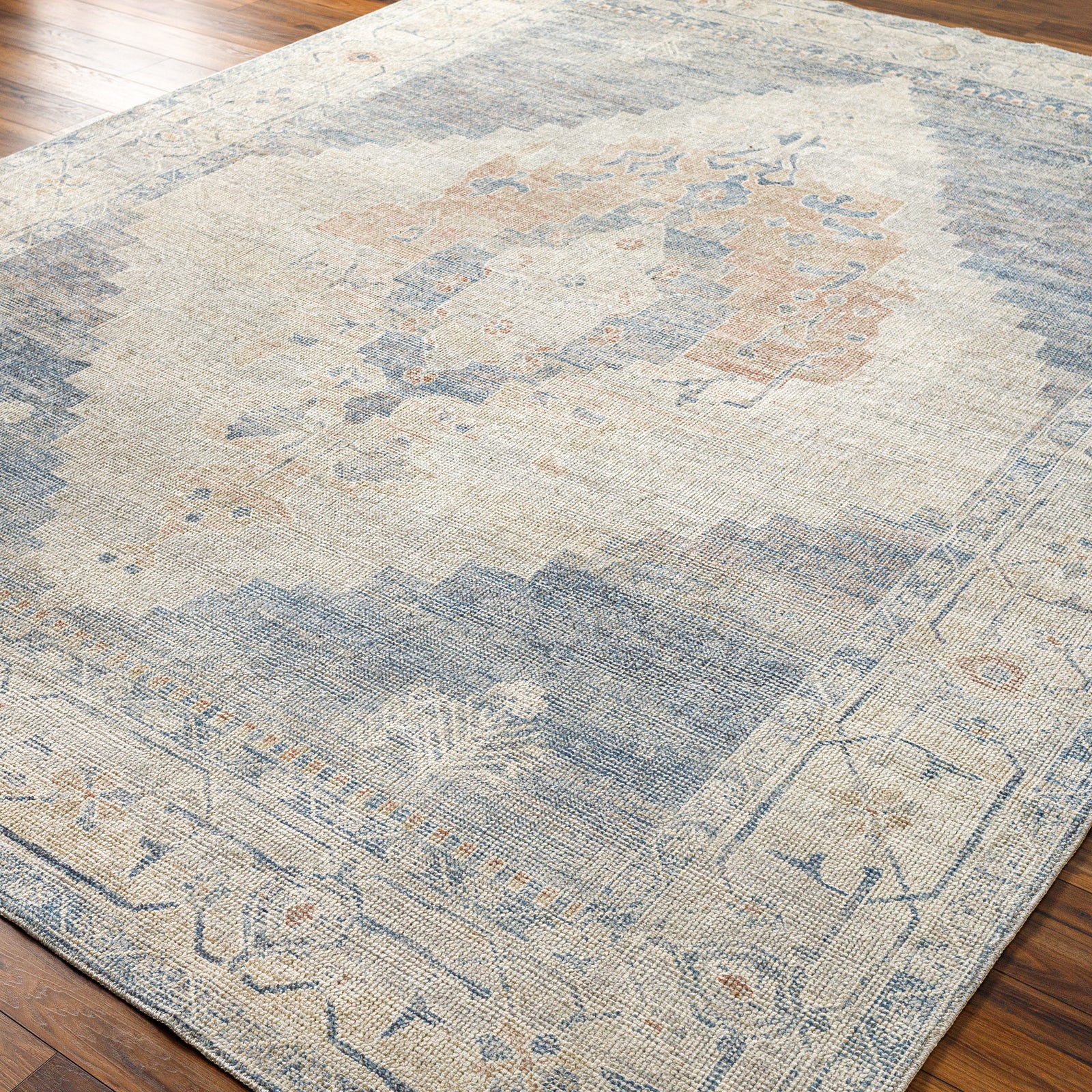 ANIKA Oriental Vintage Area Rug