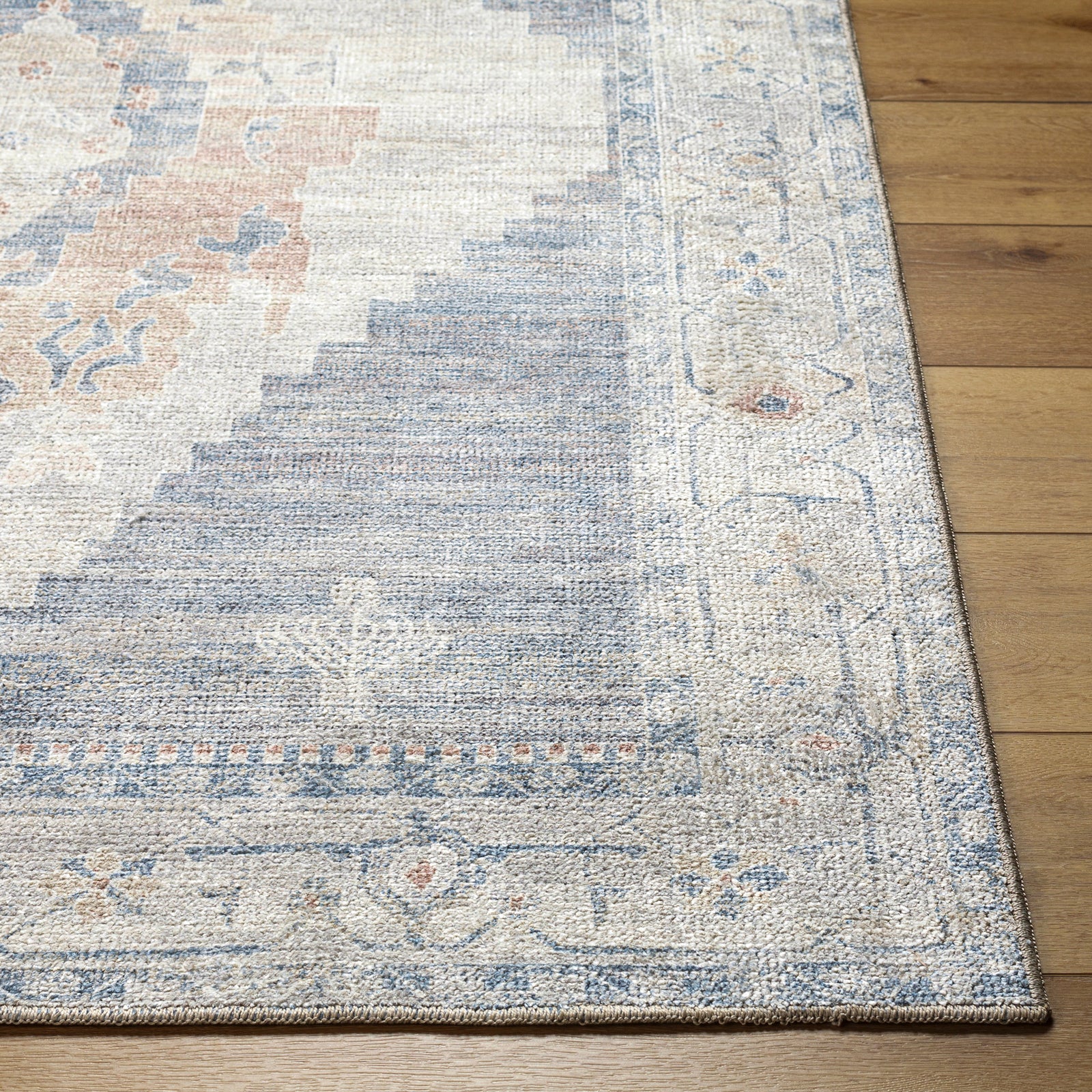 ANIKA Oriental Vintage Area Rug