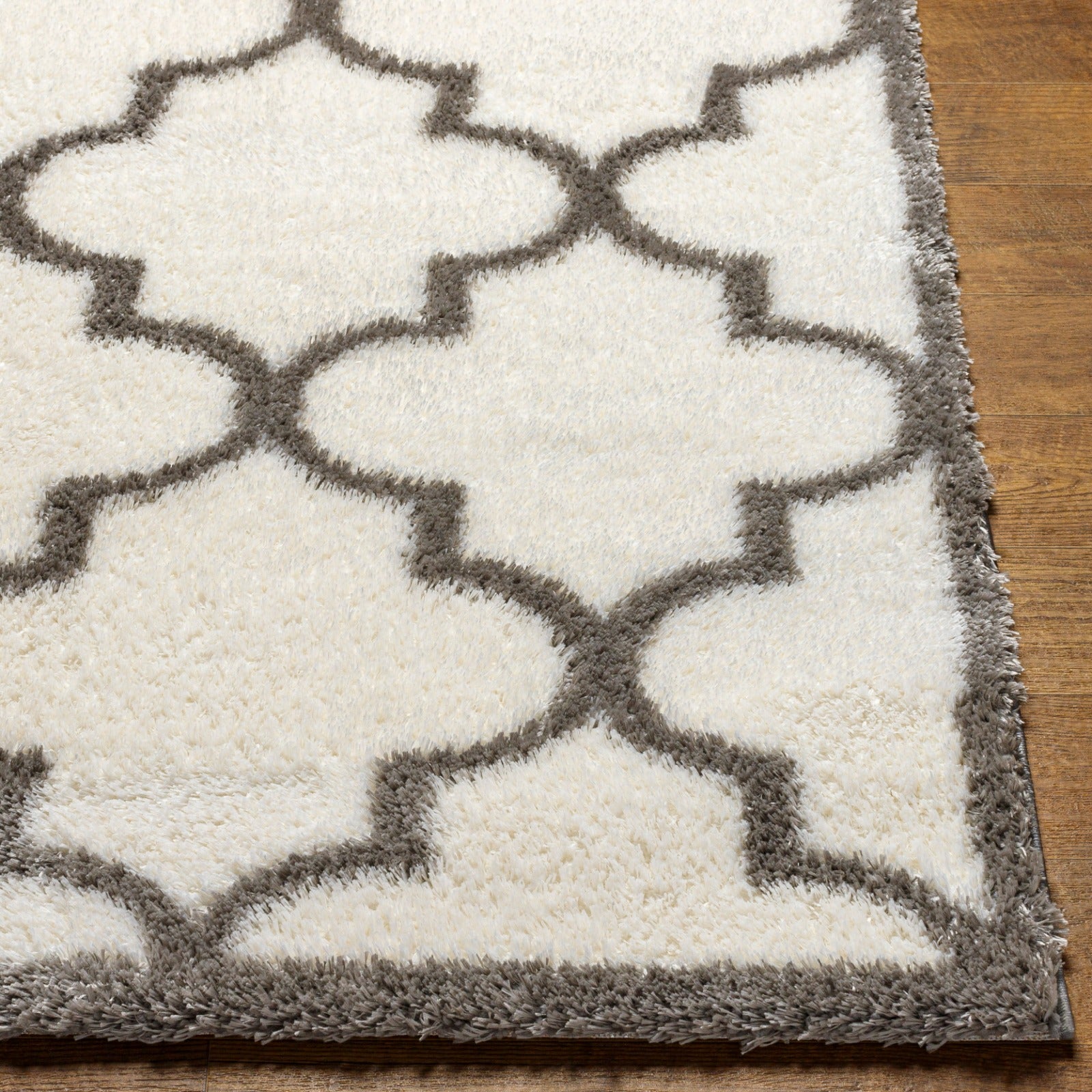 ELLIE Oriental Shaggy Area Rug