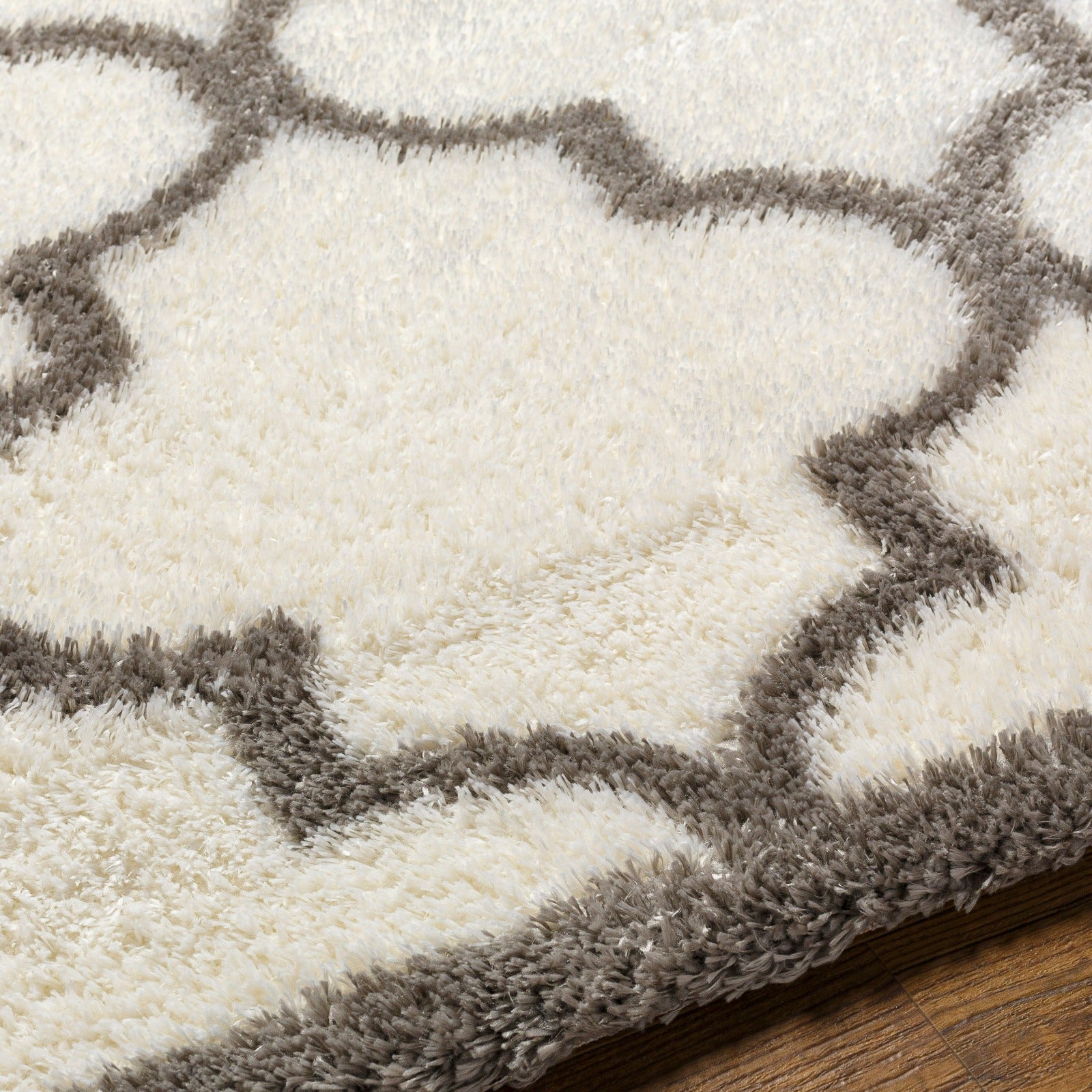 ELLIE Oriental Shaggy Area Rug