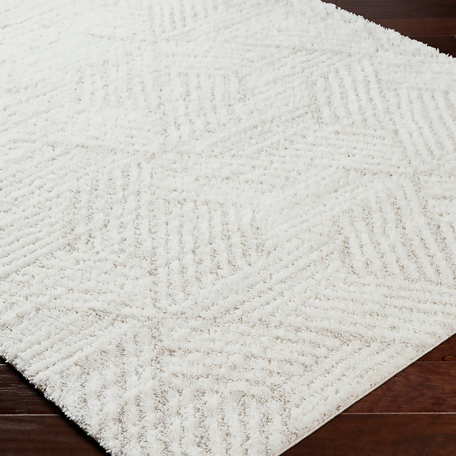 ALLIE Modern Shaggy Area Rug