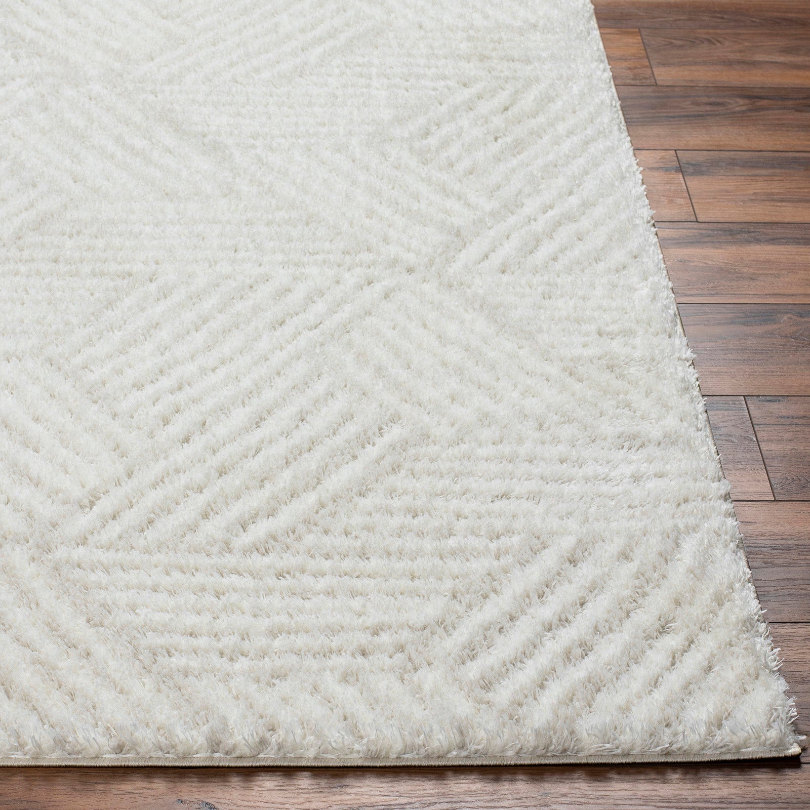 ALLIE Modern Shaggy Area Rug