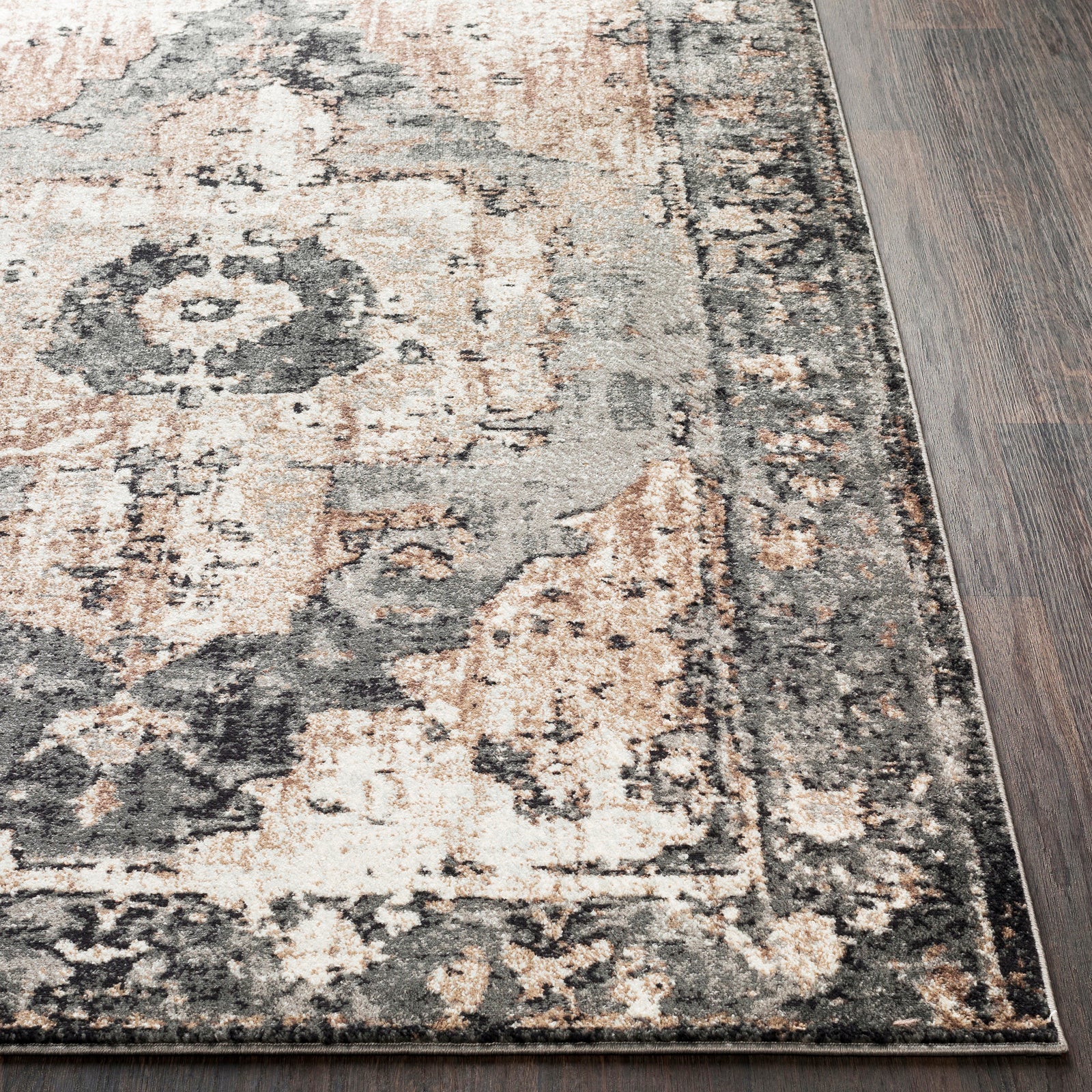 DIONNE Oriental Vintage Area Rug