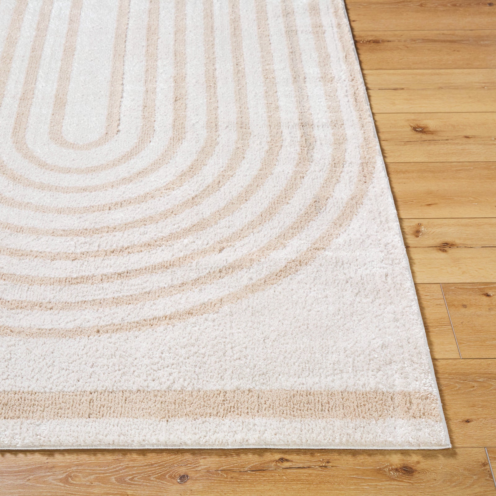 LUCILE Machine Washable Modern Shaggy Beige Area Rug