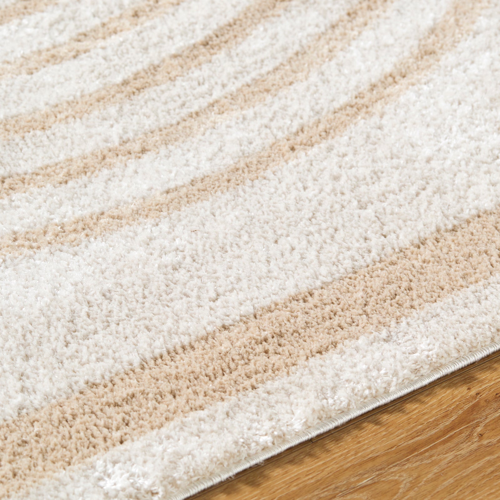 LUCILE Machine Washable Modern Shaggy Beige Area Rug