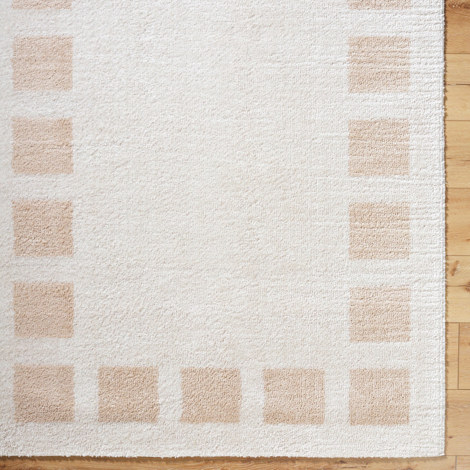 AMINE Machine Washable Modern Shaggy Beige Area Rug
