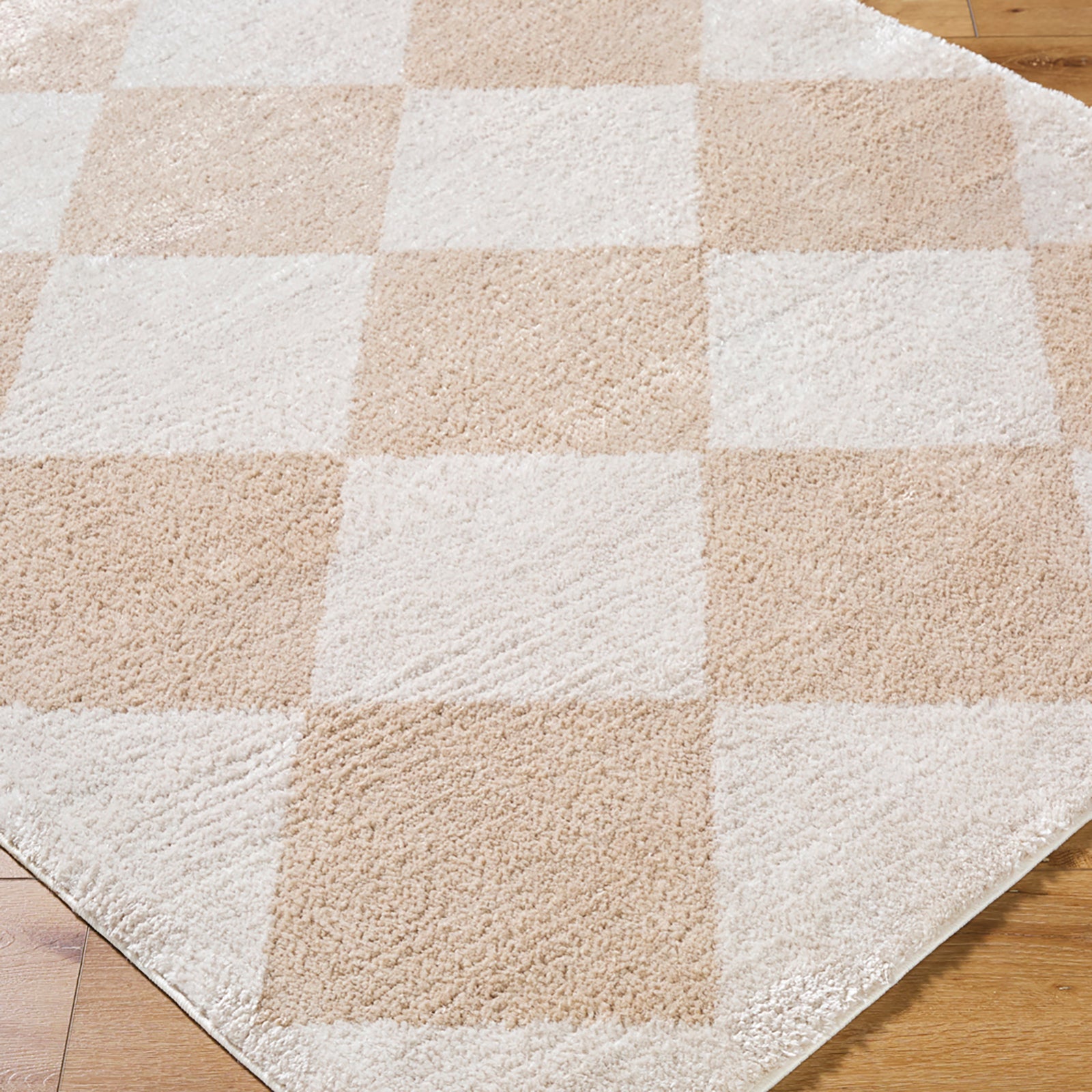 DELINE Machine Washable Modern Shaggy Beige Area Rug