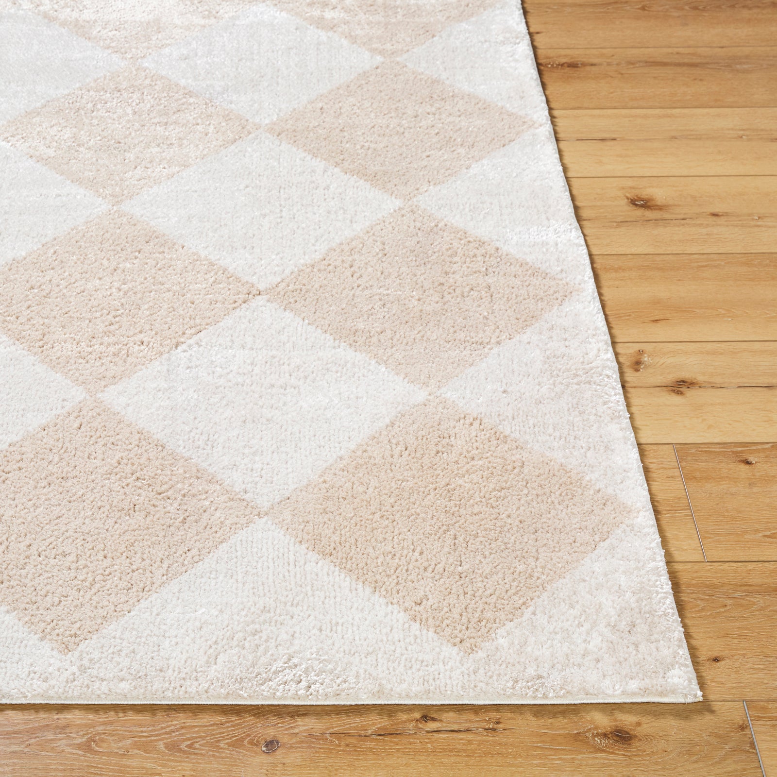 DELINE Machine Washable Modern Shaggy Beige Area Rug