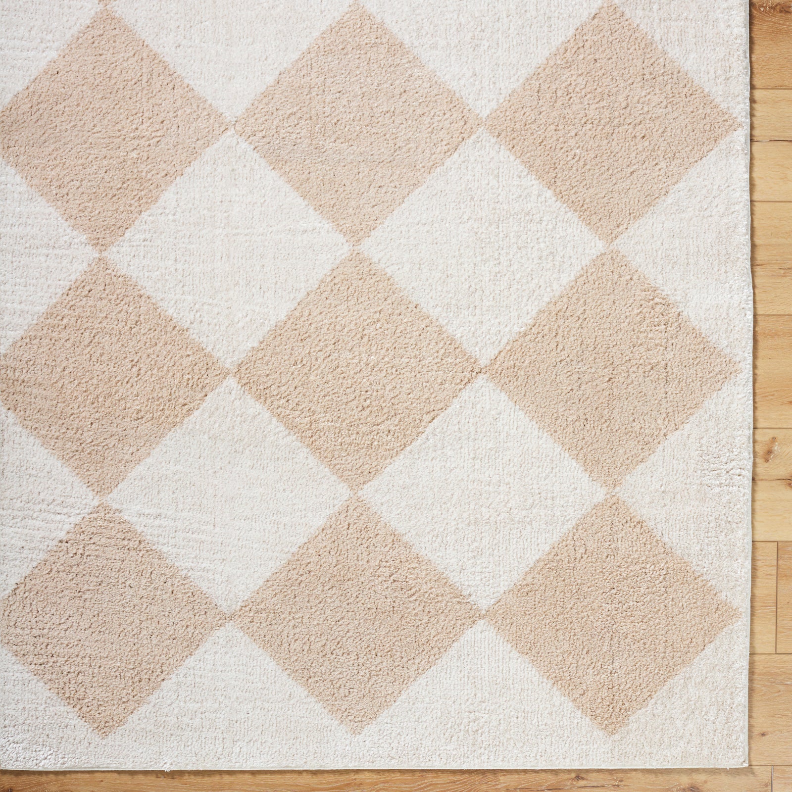 DELINE Machine Washable Modern Shaggy Beige Area Rug
