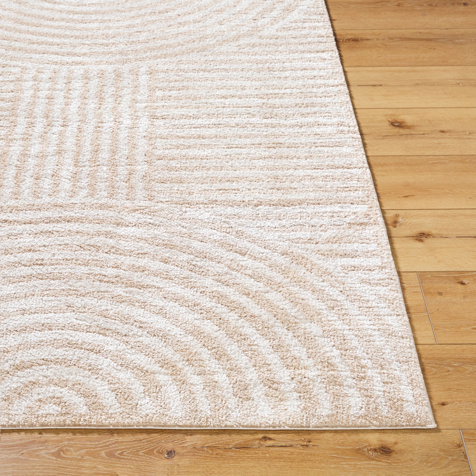 PAULINE Machine Washable Modern Shaggy Beige Area Rug
