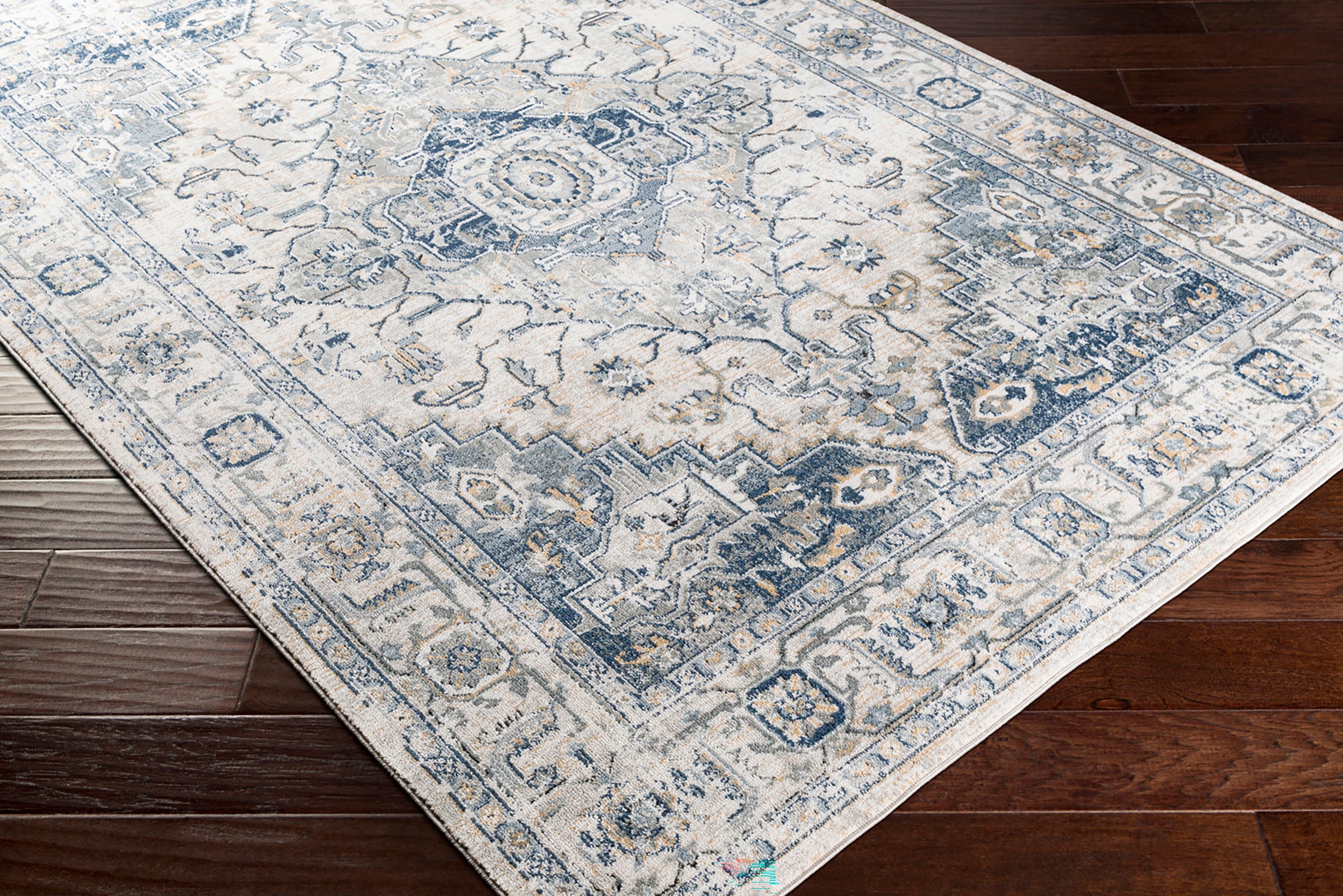 DALILA Oriental Vintage Area Rug