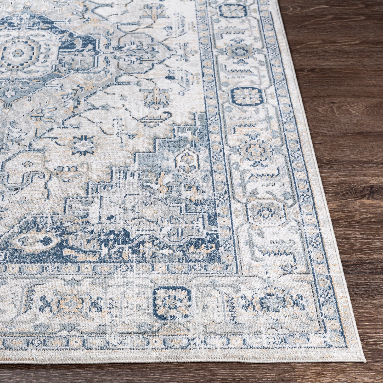 DALILA Oriental Vintage Area Rug