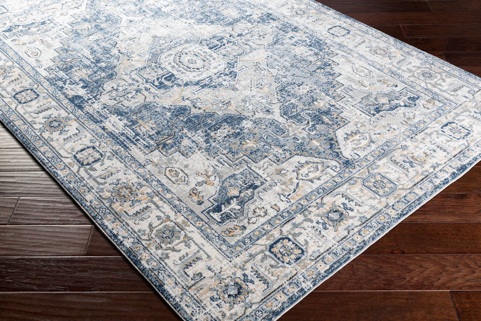 DALILA Oriental Vintage Area Rug