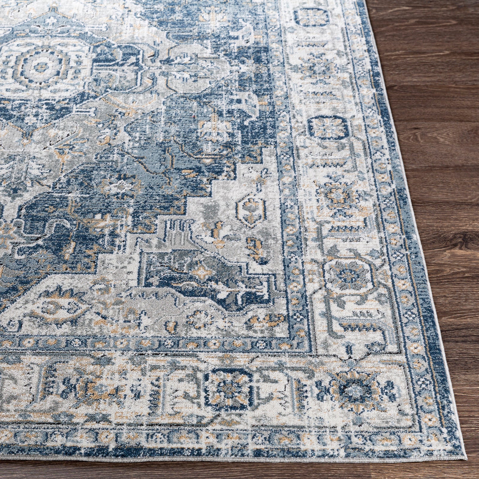 DALILA Oriental Vintage Area Rug