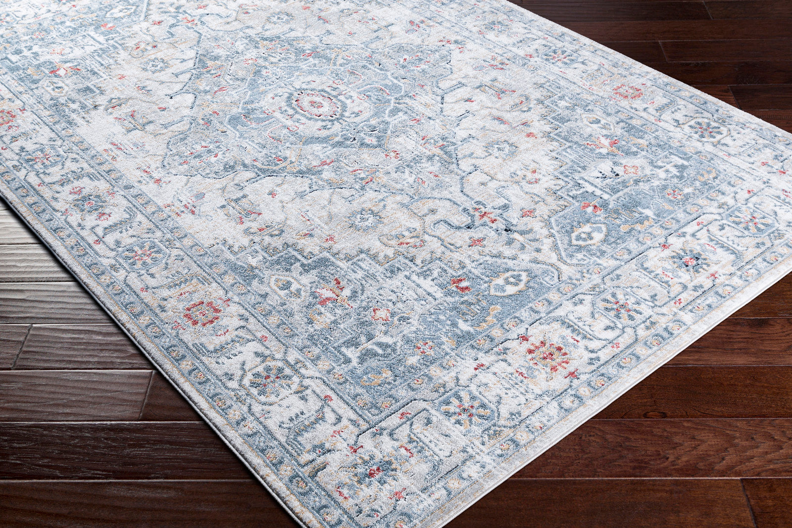 DALILA Oriental Vintage Area Rug