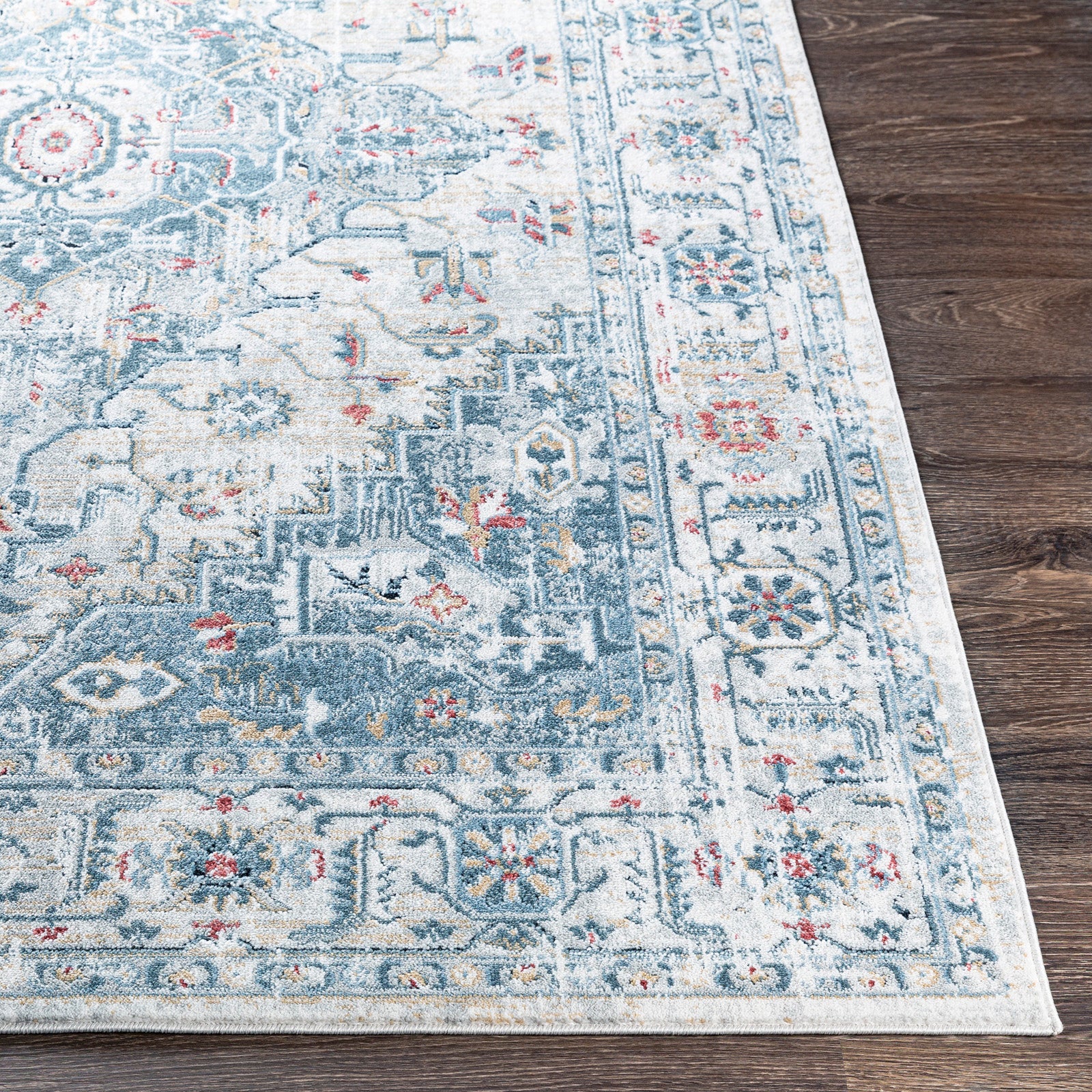 DALILA Oriental Vintage Area Rug