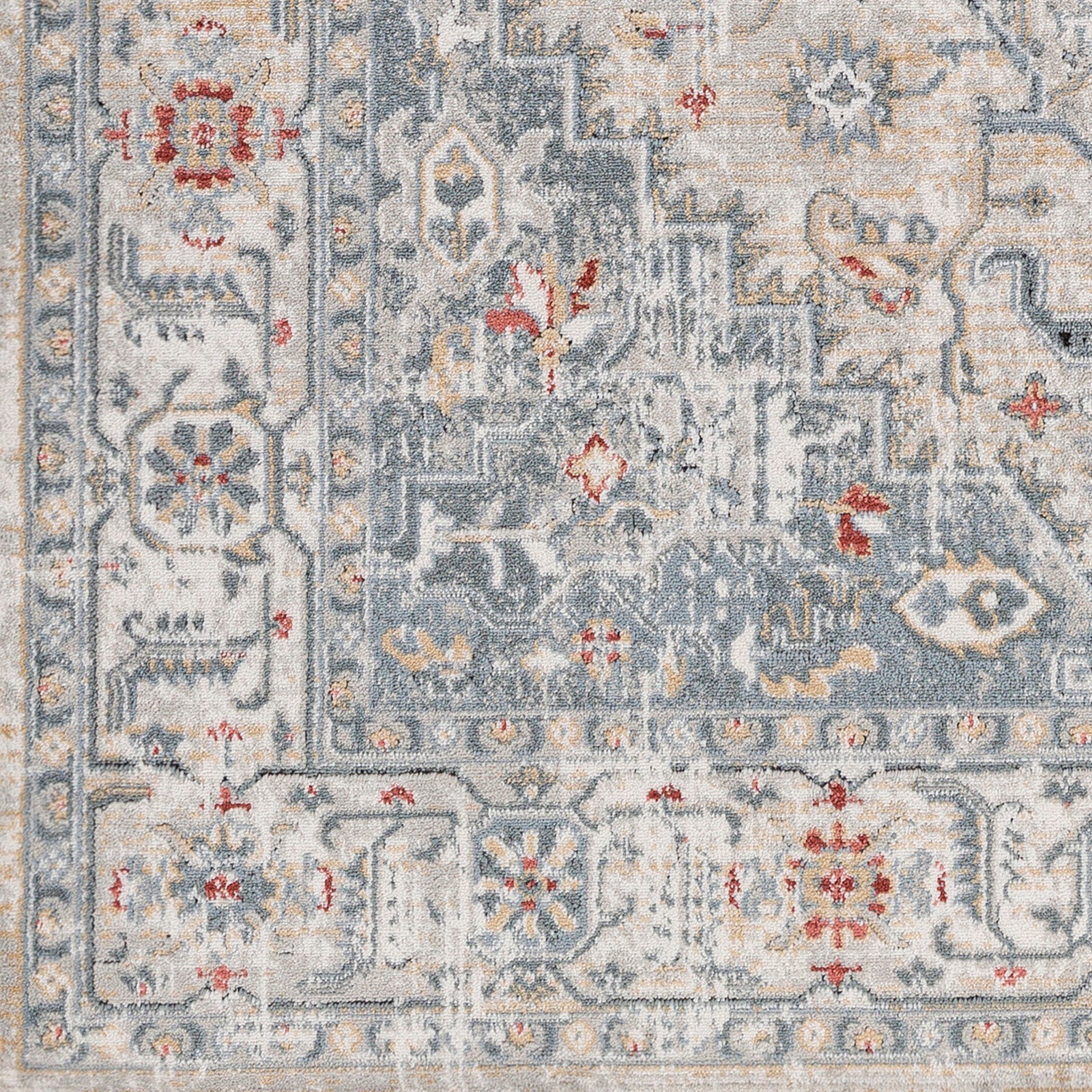 DALILA Oriental Vintage Area Rug