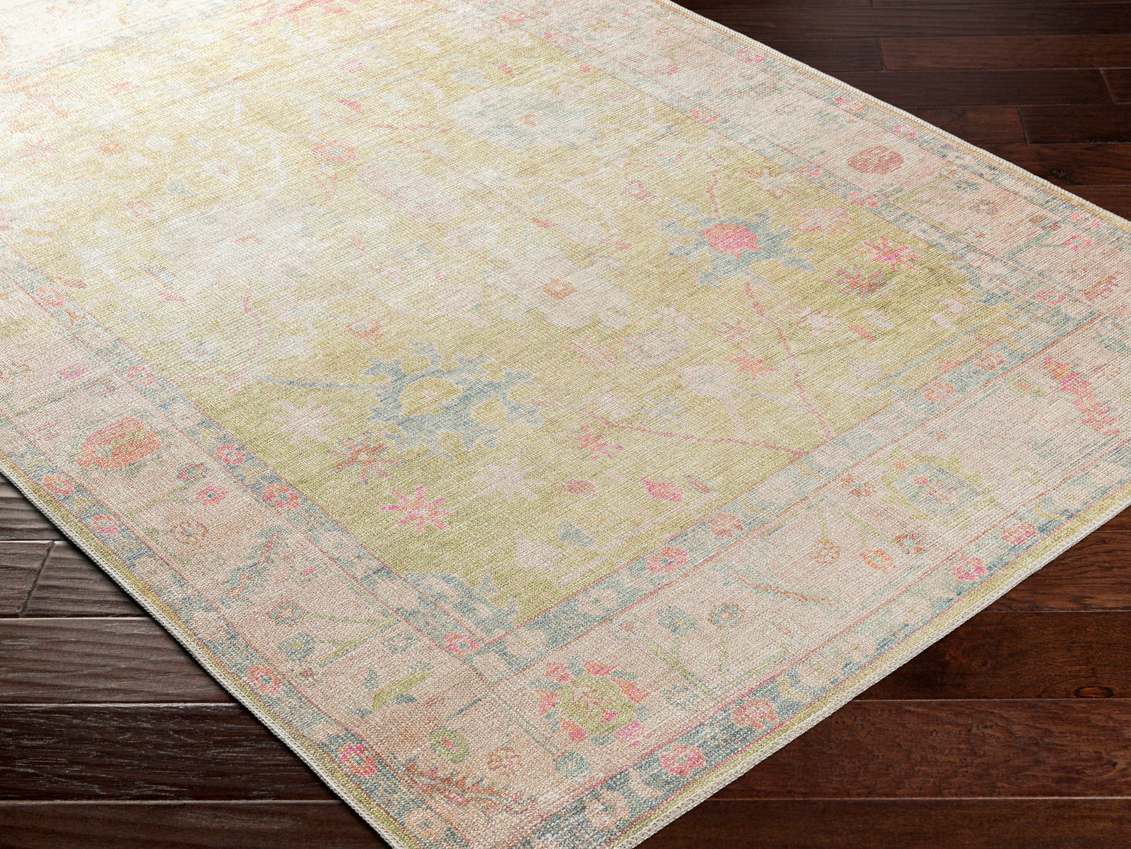 AMARI Machine Washable Vintage Area Rug