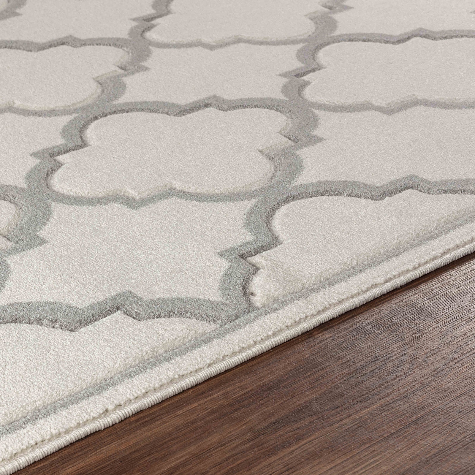 YAIZA Oriental Vintage Area Rug