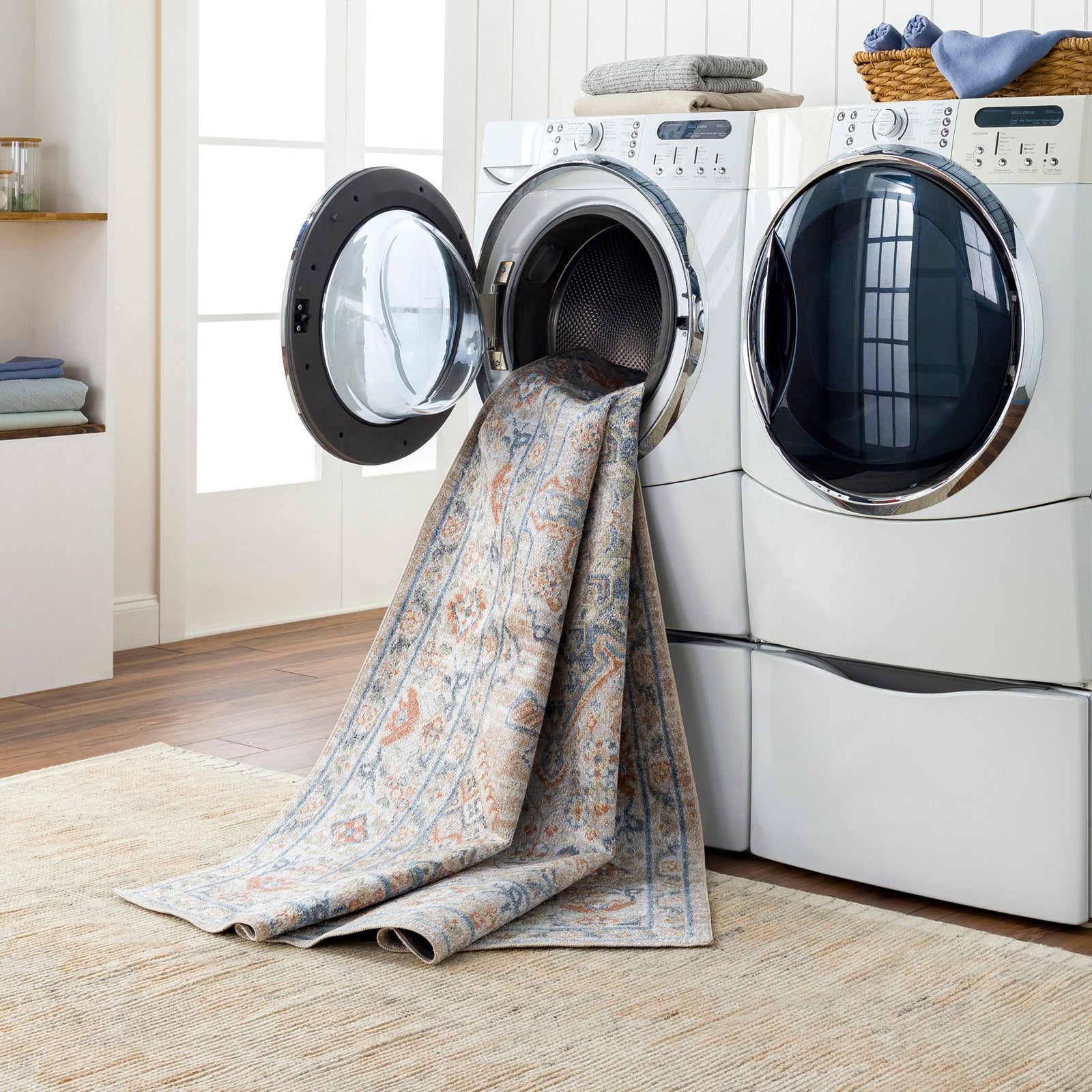 MARION Machine Washable Vintage Area Rug