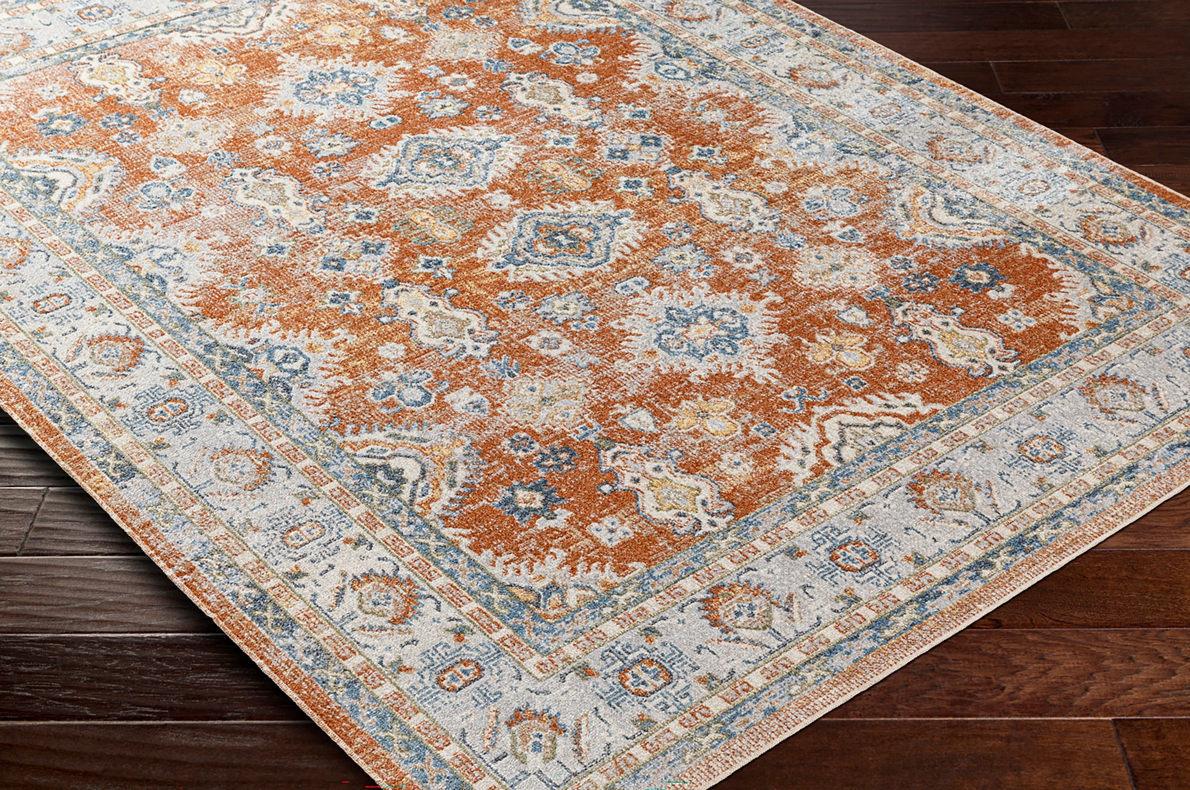 AVNI Machine Washable Vintage Area Rug