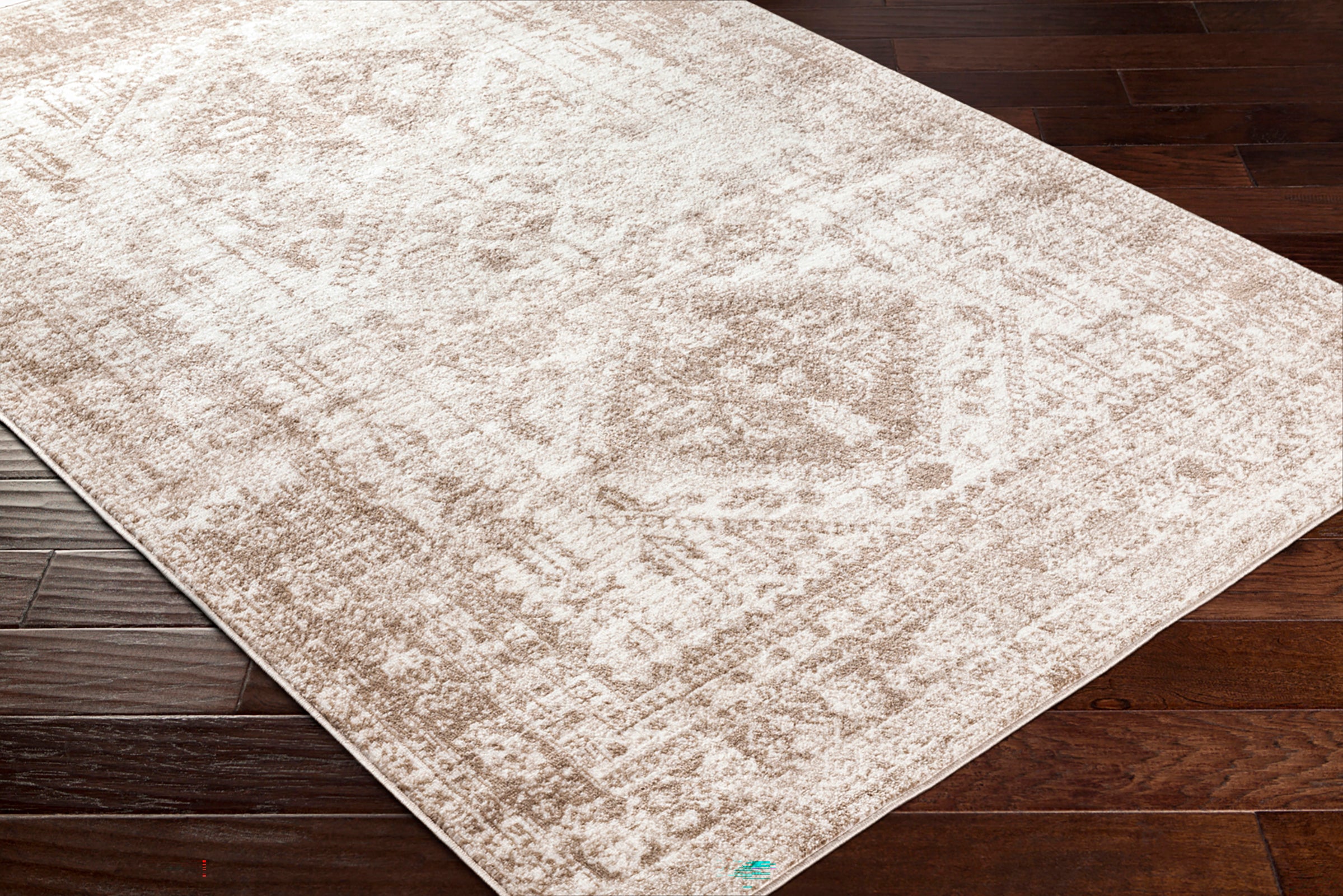 NEELAM Oriental Vintage Area Rug