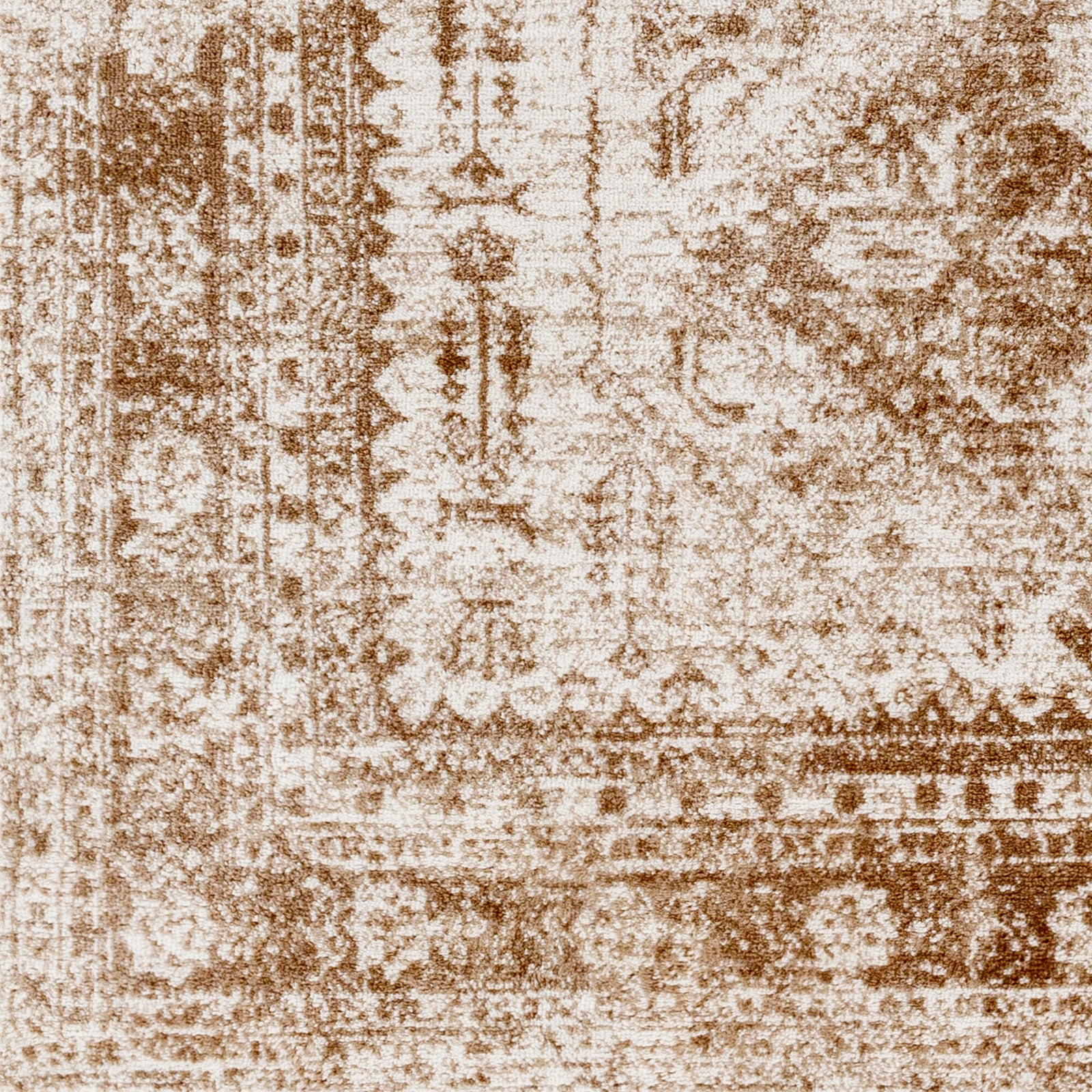 NEELAM Oriental Vintage Area Rug