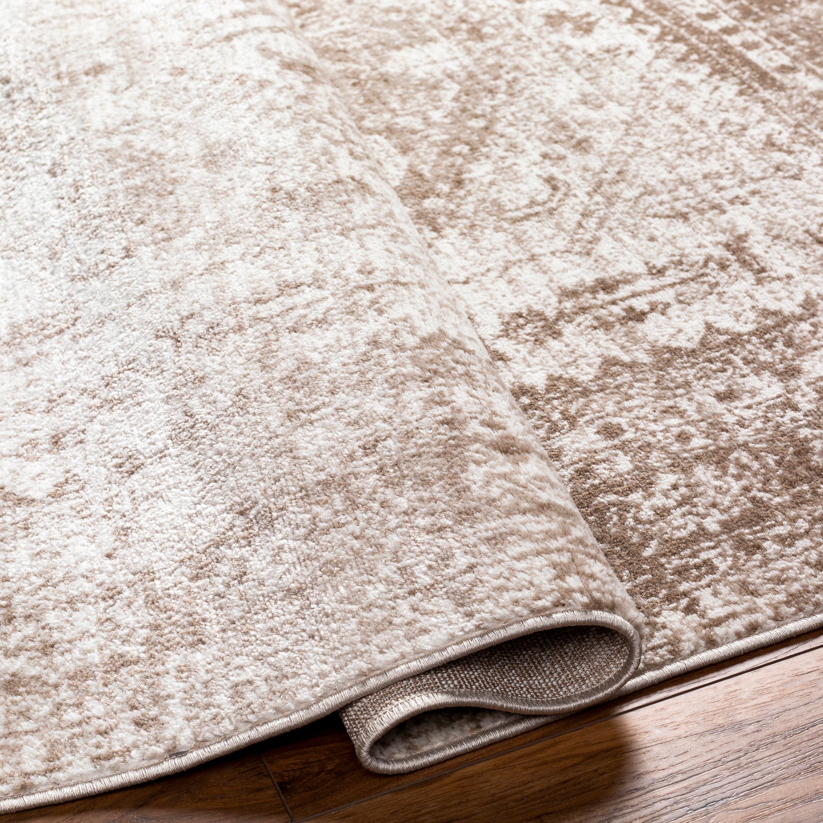 NEELAM Oriental Vintage Area Rug