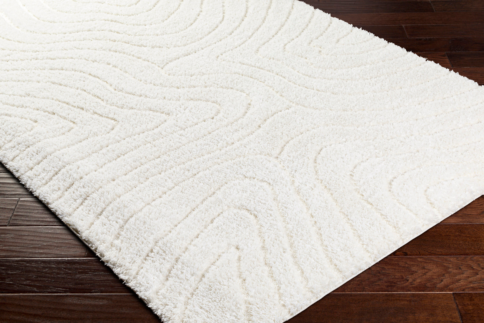 DANAE Modern Shaggy Area Rug