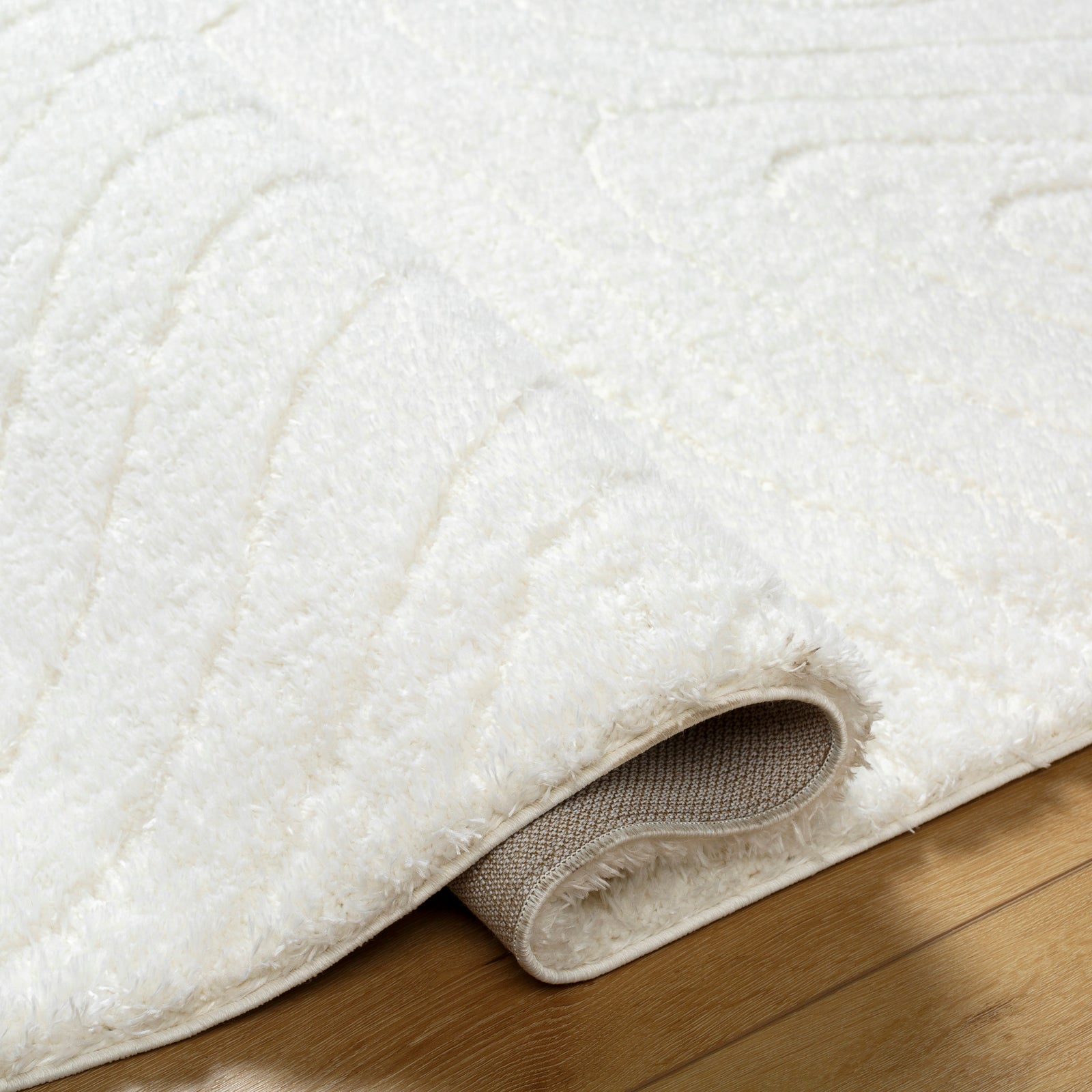 DANAE Modern Shaggy Area Rug