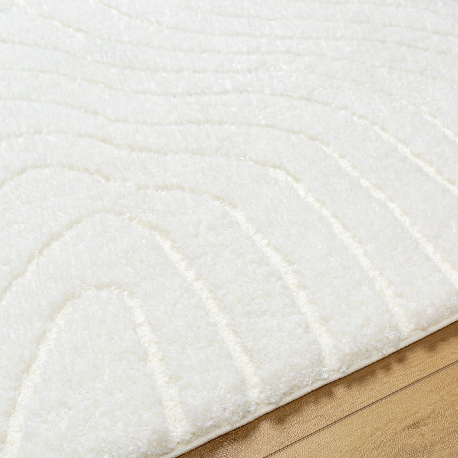 DANAE Modern Shaggy Area Rug