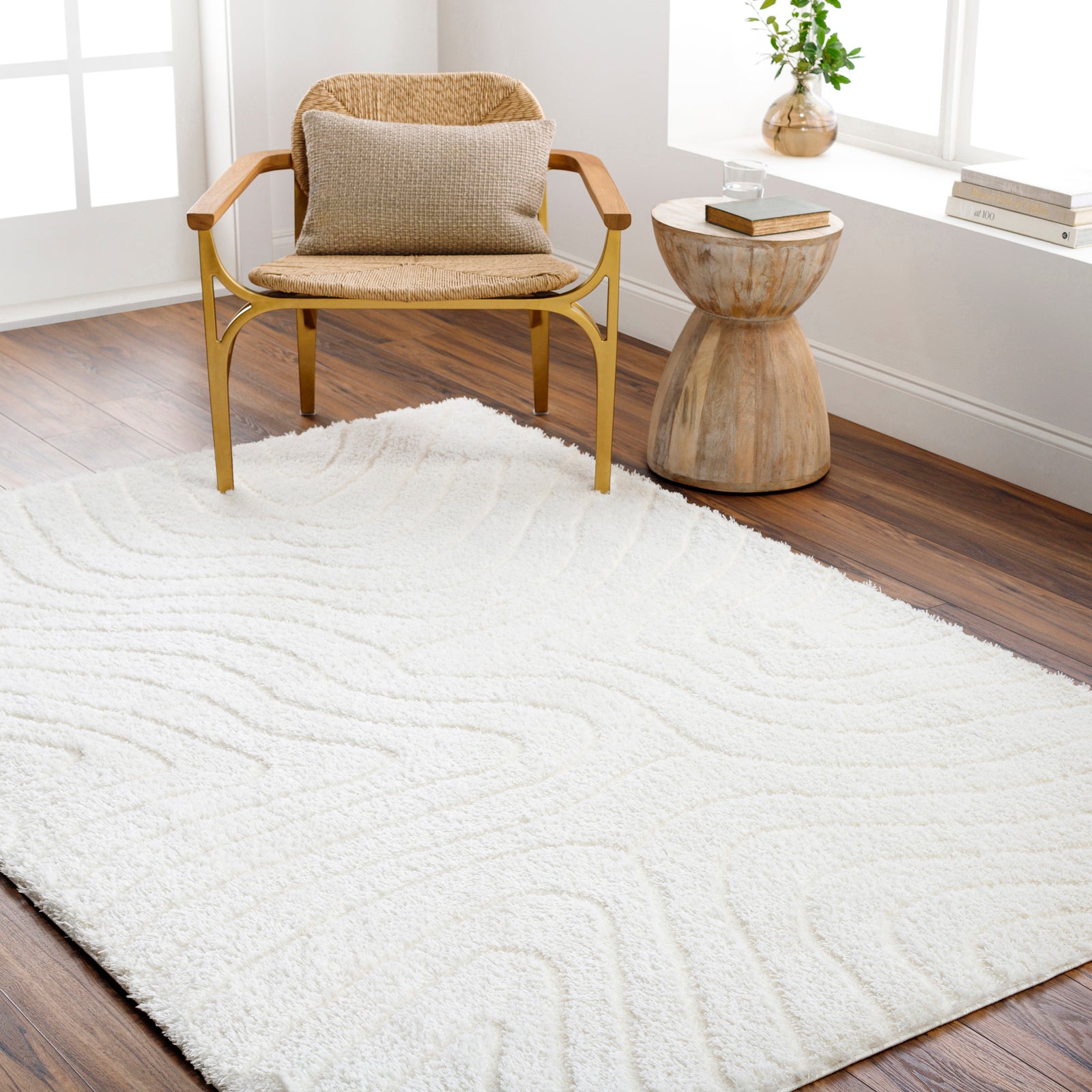 DANAE Modern Shaggy Area Rug