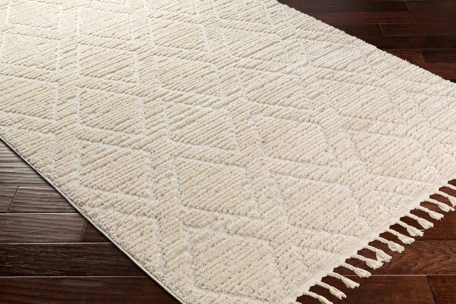 JASMINE Ethnic Berber Area Rug
